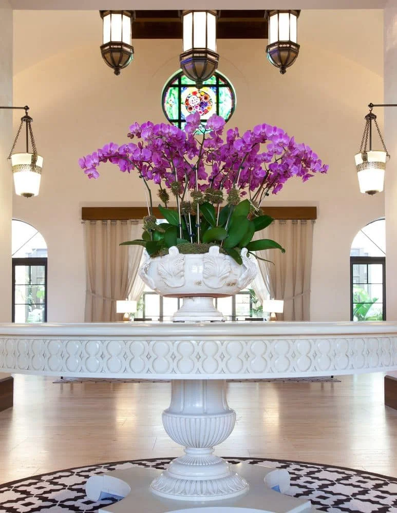 Inside The Alfond Inn 