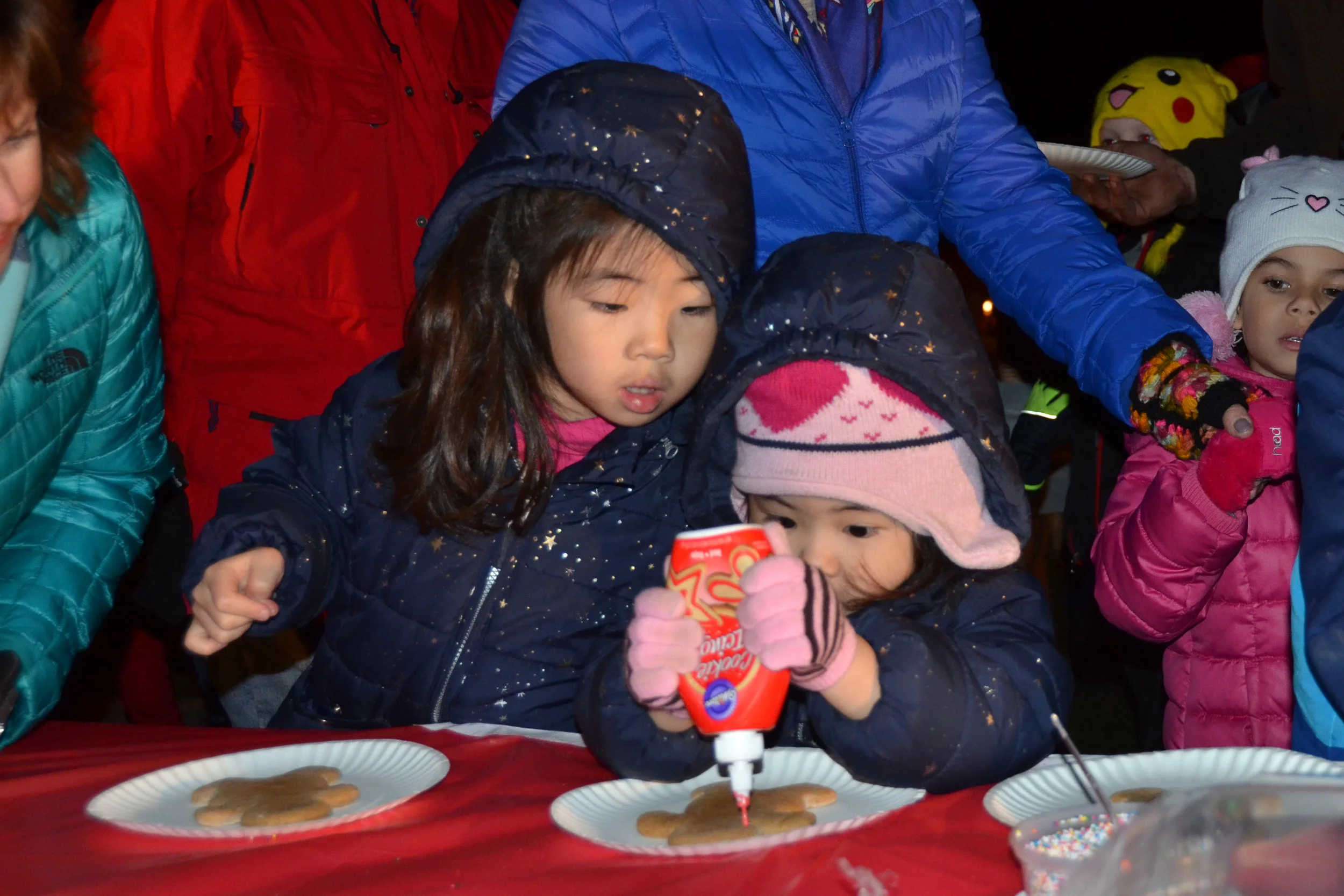 29th Holiday Stroll in South Hadley a Success