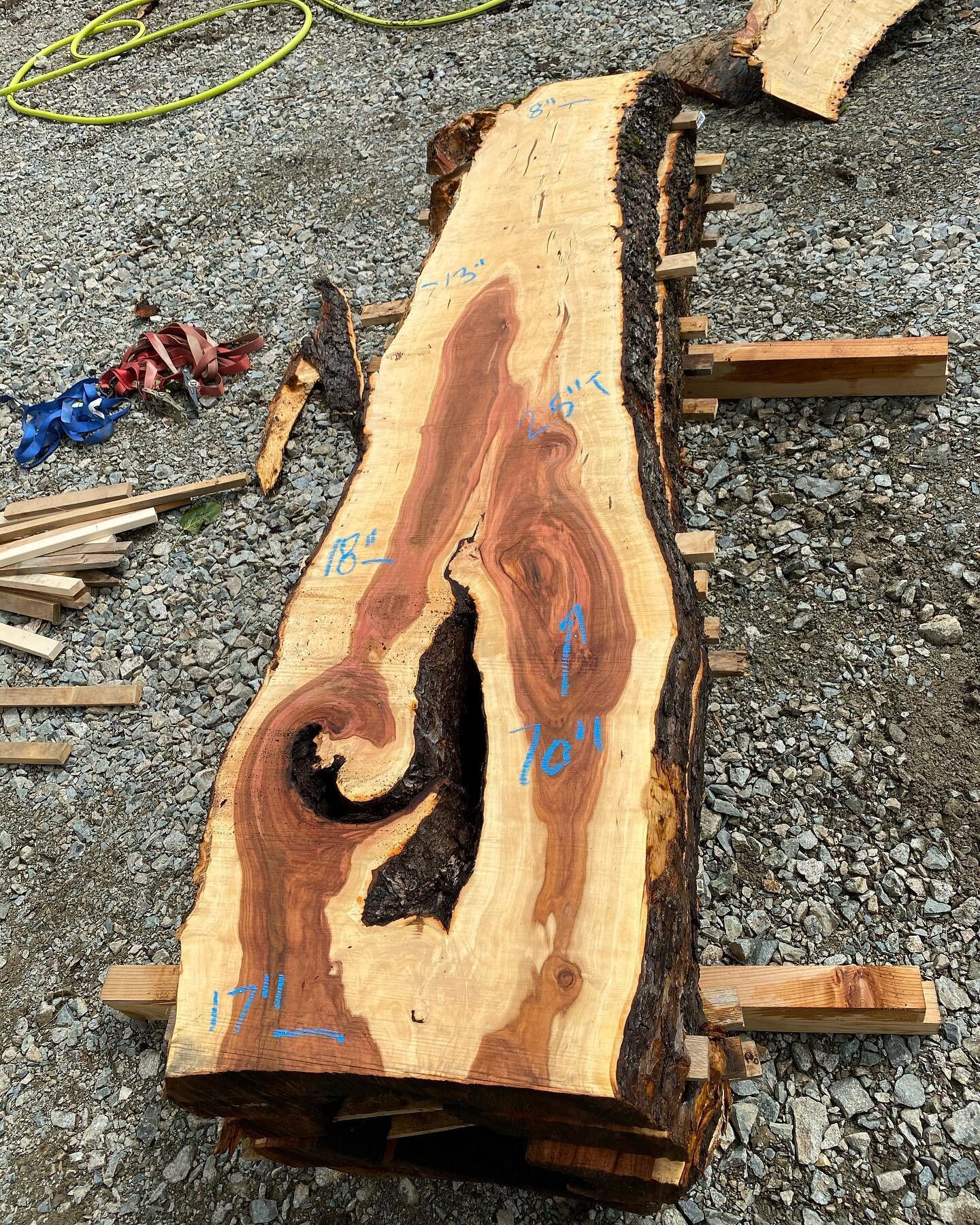 2 Apple fresh off the mill. Full of colour and character.  #apple #slabs #karltaylorwood #furnituredesign #furniture #blanks #carving #tables #spoons