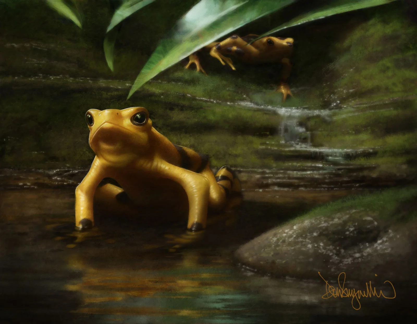 5. "Panamanian Golden Frog" One of several paintings for "IN DANGER" (Project Safehaven004), a book of images of critically endangered animals from around the world. http://www.expeditionart.org/in-danger-book/ Medium: Digital using Painter and Photoshop. Scale/resolution: The art will print 9" x 12" in the book. Year Created: 2017