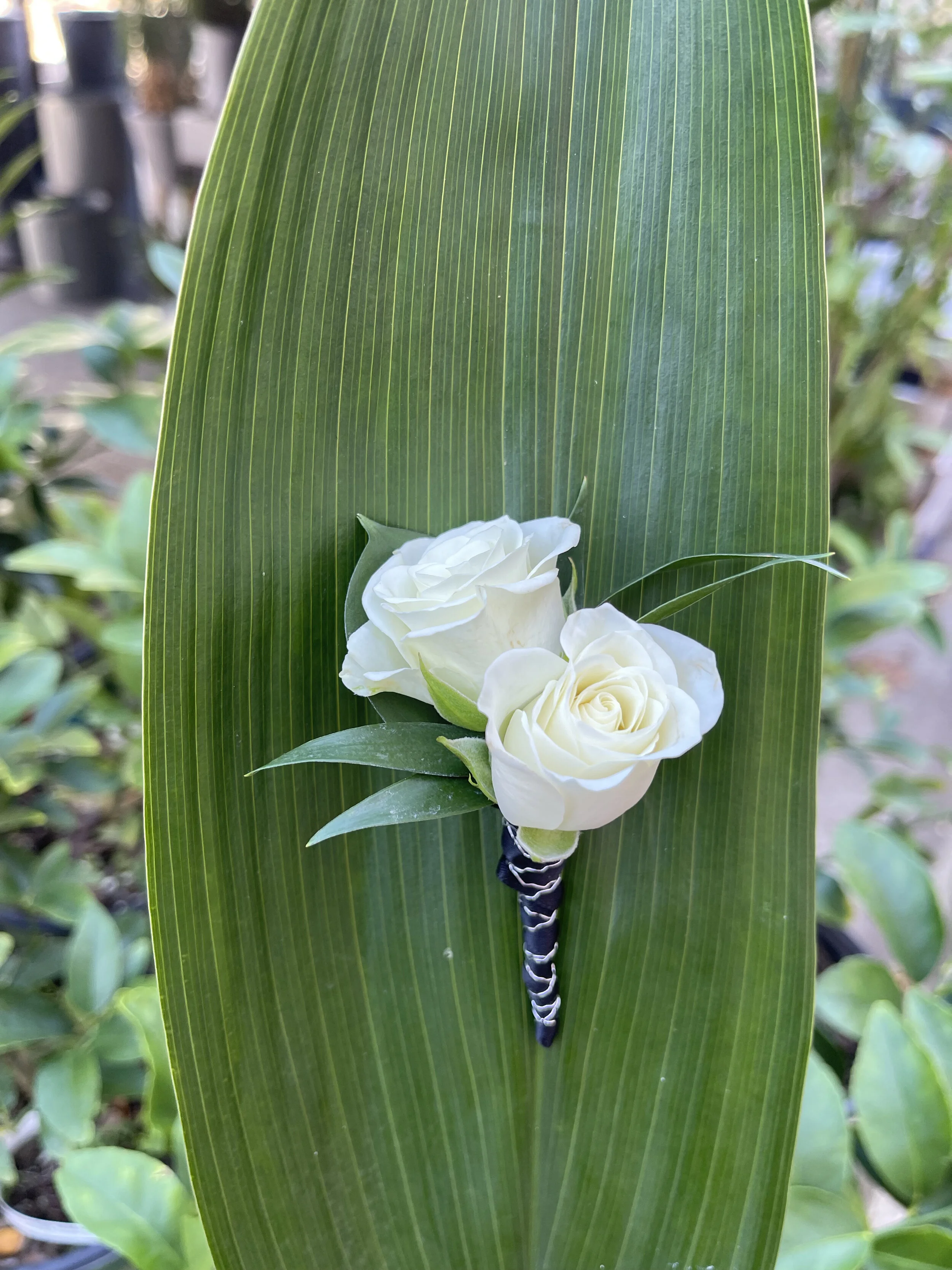 SPRAY ROSE BOUTONNIERE