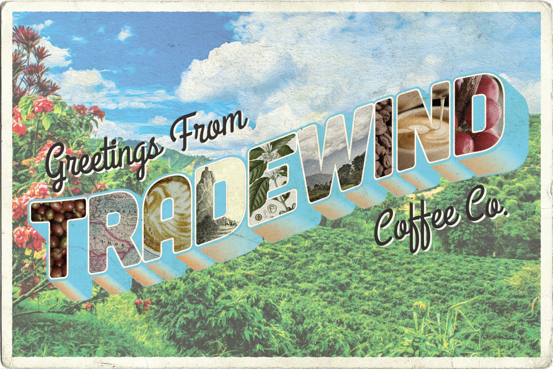 Tradewinds_Postcard2.jpg
