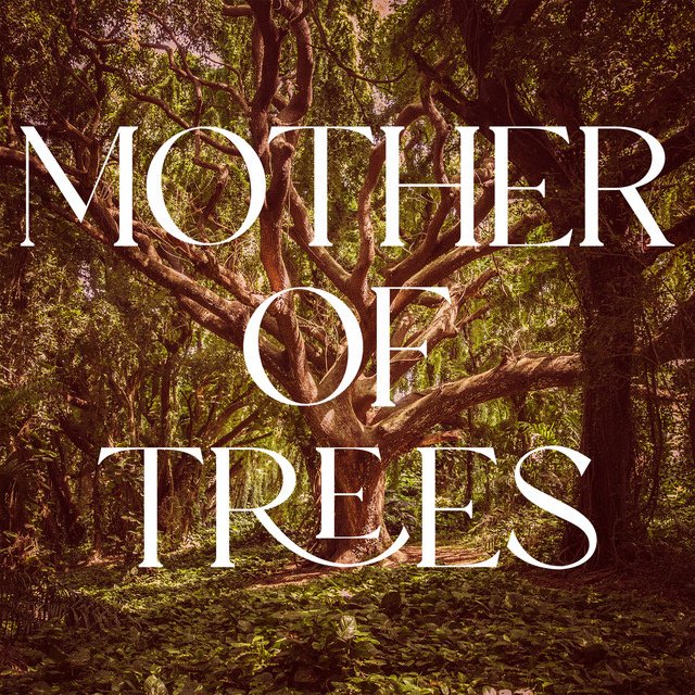 Dan Rodriguez :: Mother Of Trees (Single) (2022)