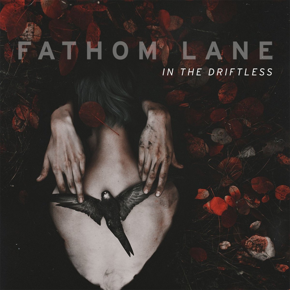 Fathom Lane :: Into The Driftless (2023)