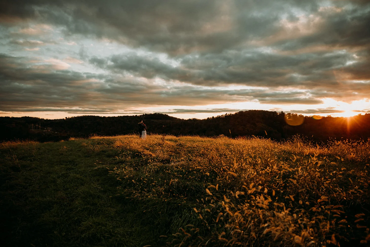 blog-2706.jpg
