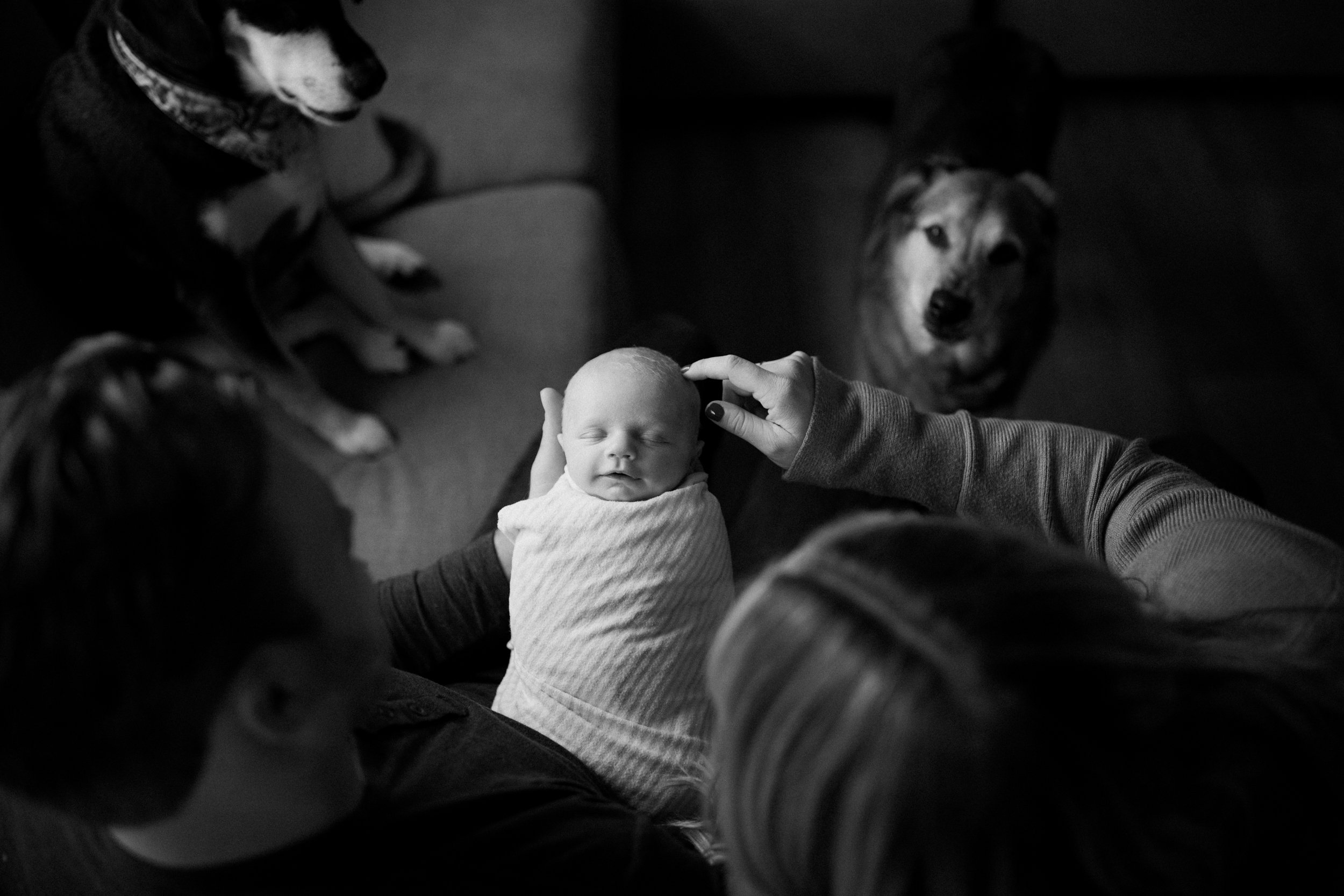 newborn-in-home-session-northwest-indiana-illinois-family-photographer-11.jpg