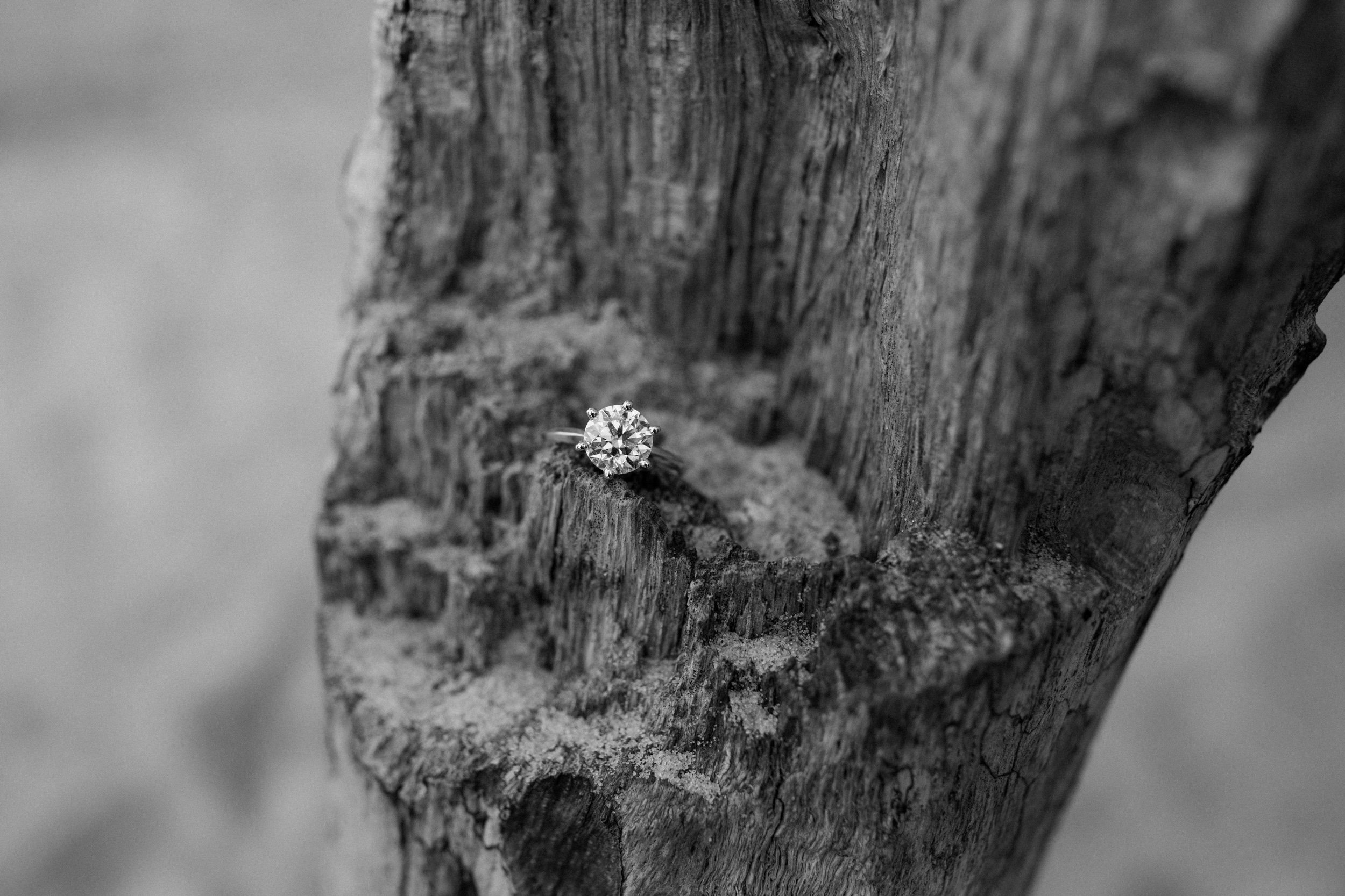 northwest indiana michigan city central beach proposal photographer indiana dunes film documentary rainy moody-40.jpg