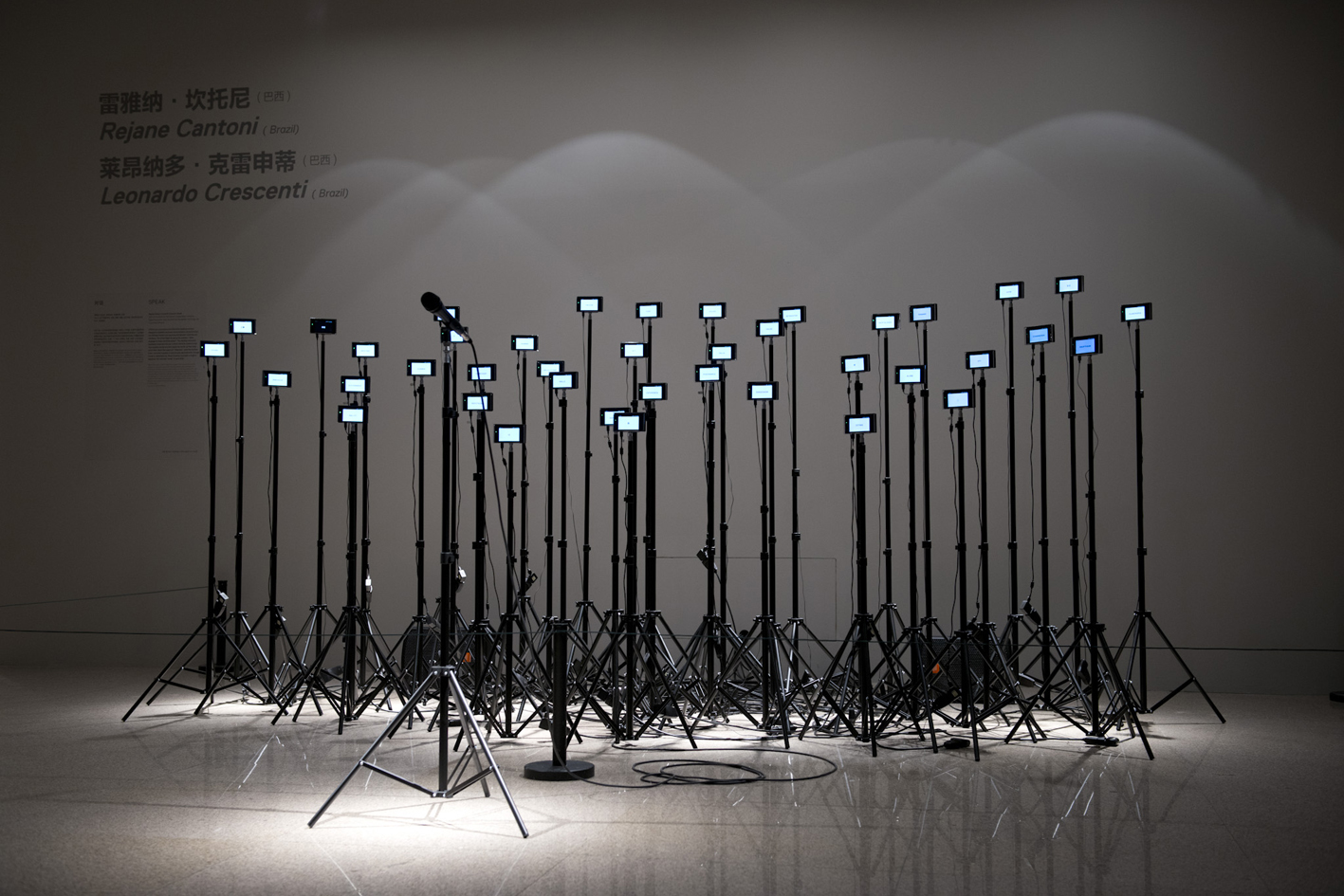    speak | fala    @ nat. museum of china 2014   + expo  