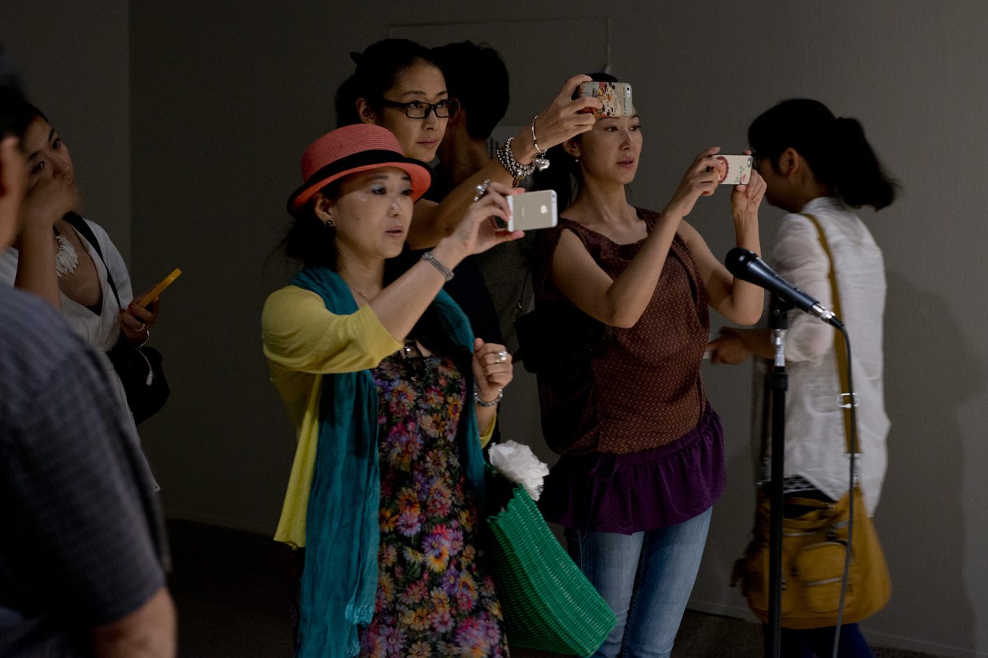    speak | fala    @ nat. museum of china 2014   + expo  