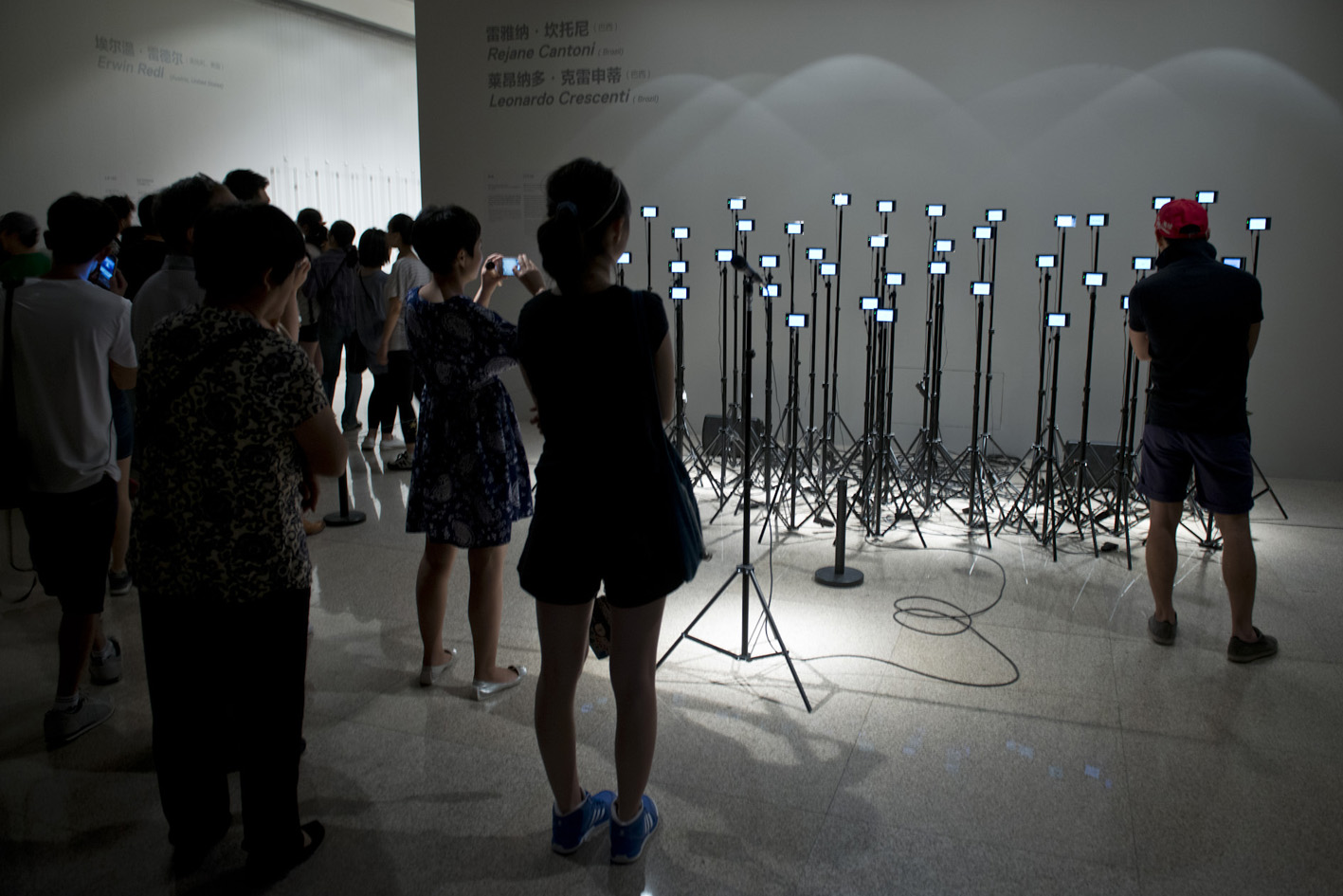    speak | fala    @ nat. museum of china 2014   + expo  