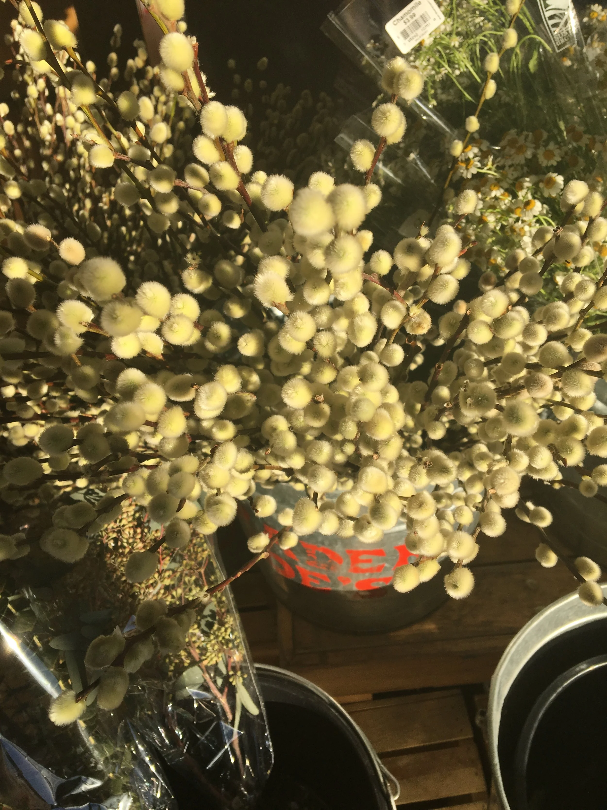 The most valuable thing in the store was free.