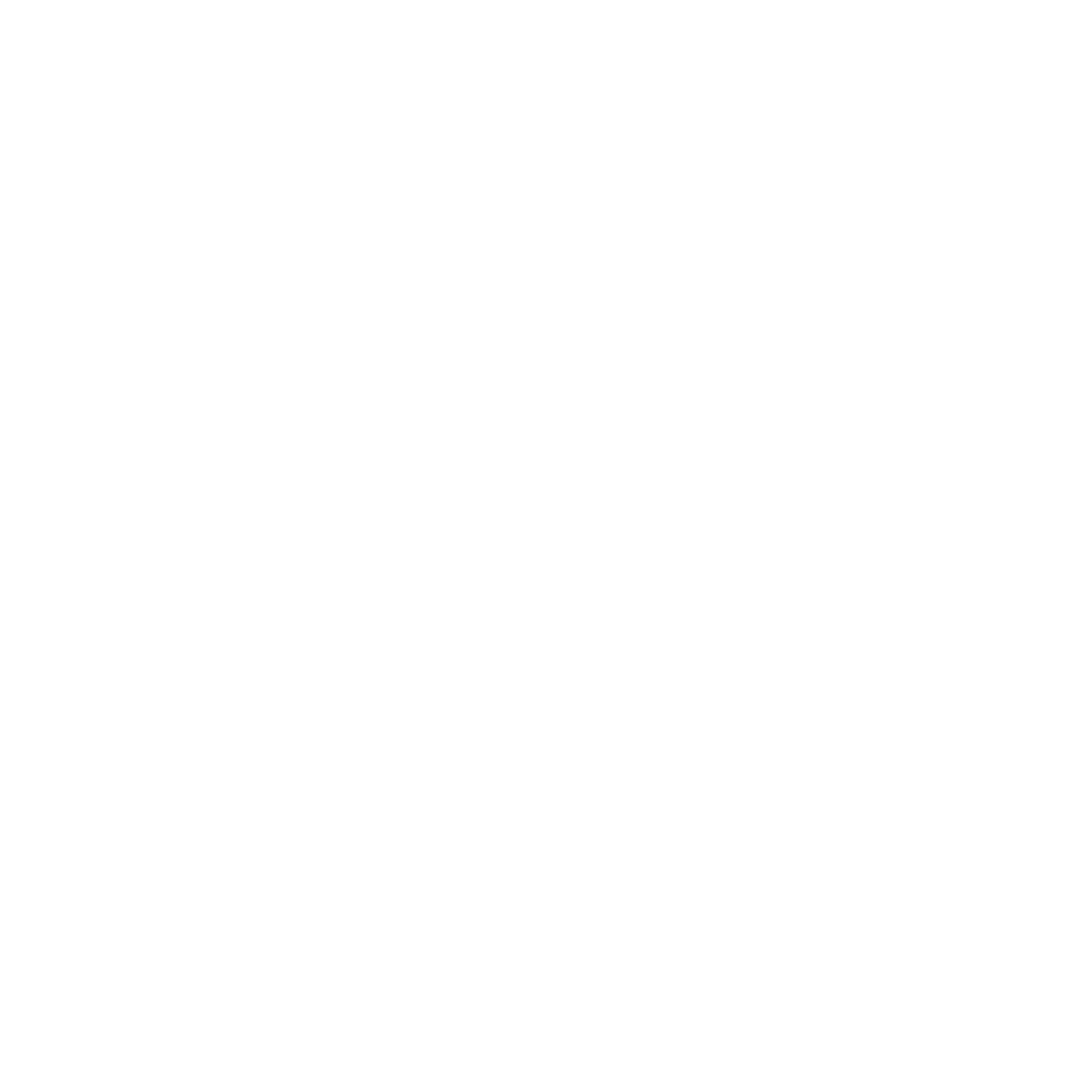 STONE HORSES