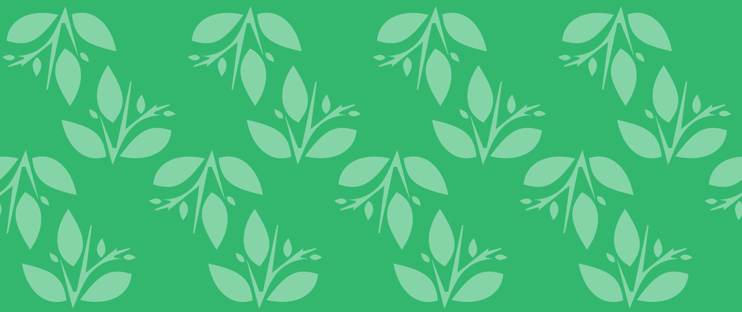 fylc-banner.png