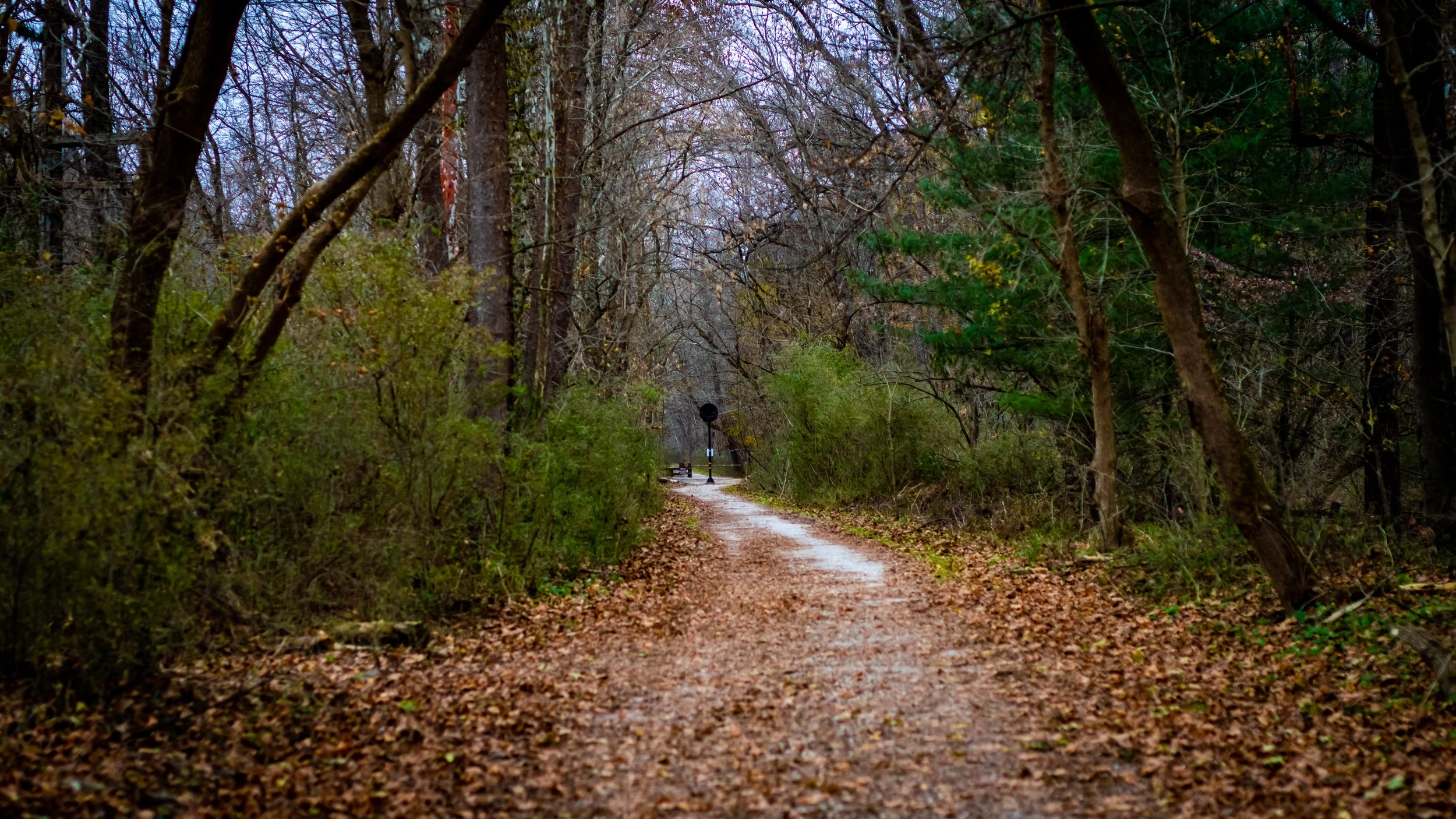 DSC_0944.jpg