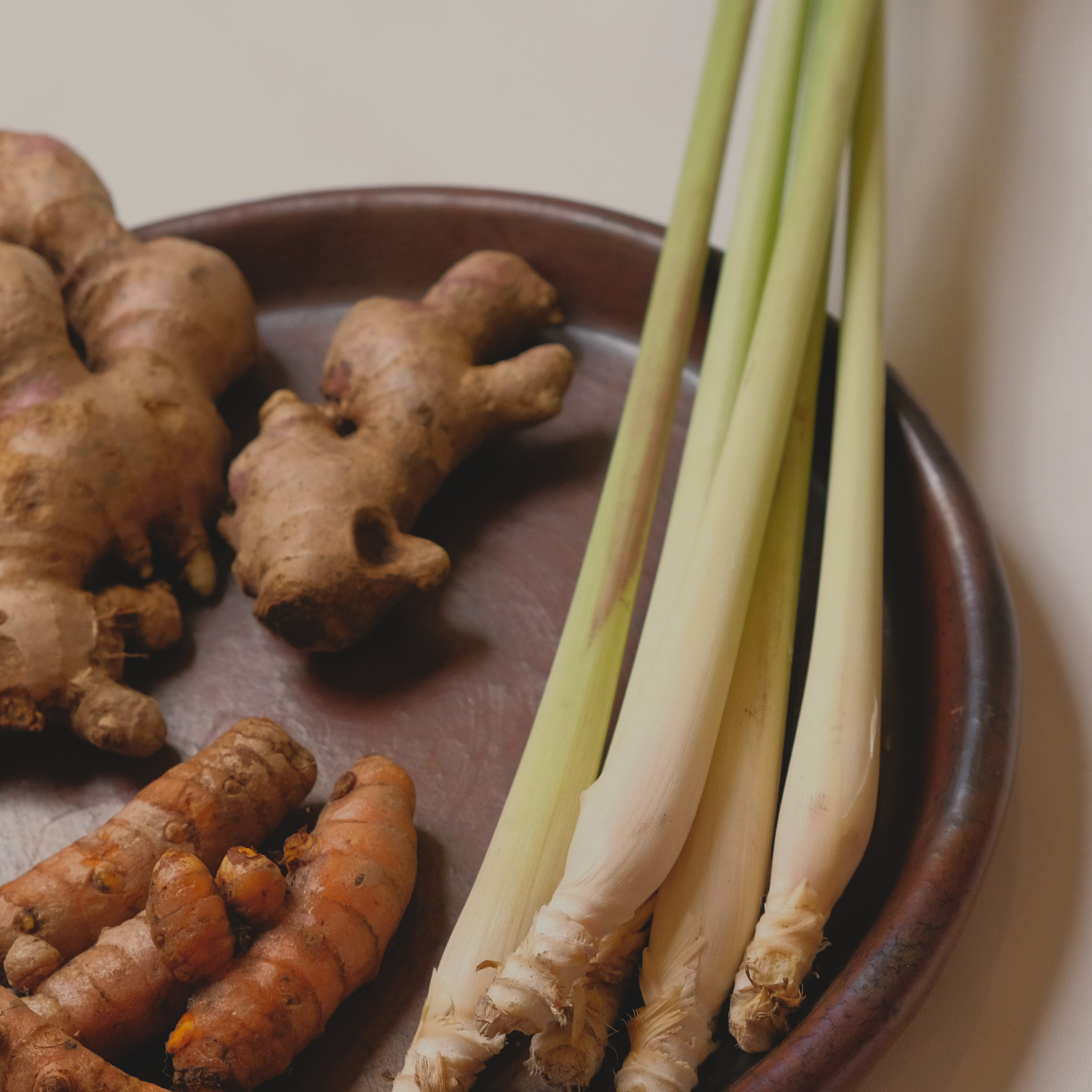 More Than a Tea: The Beginning of the Jalan Journey