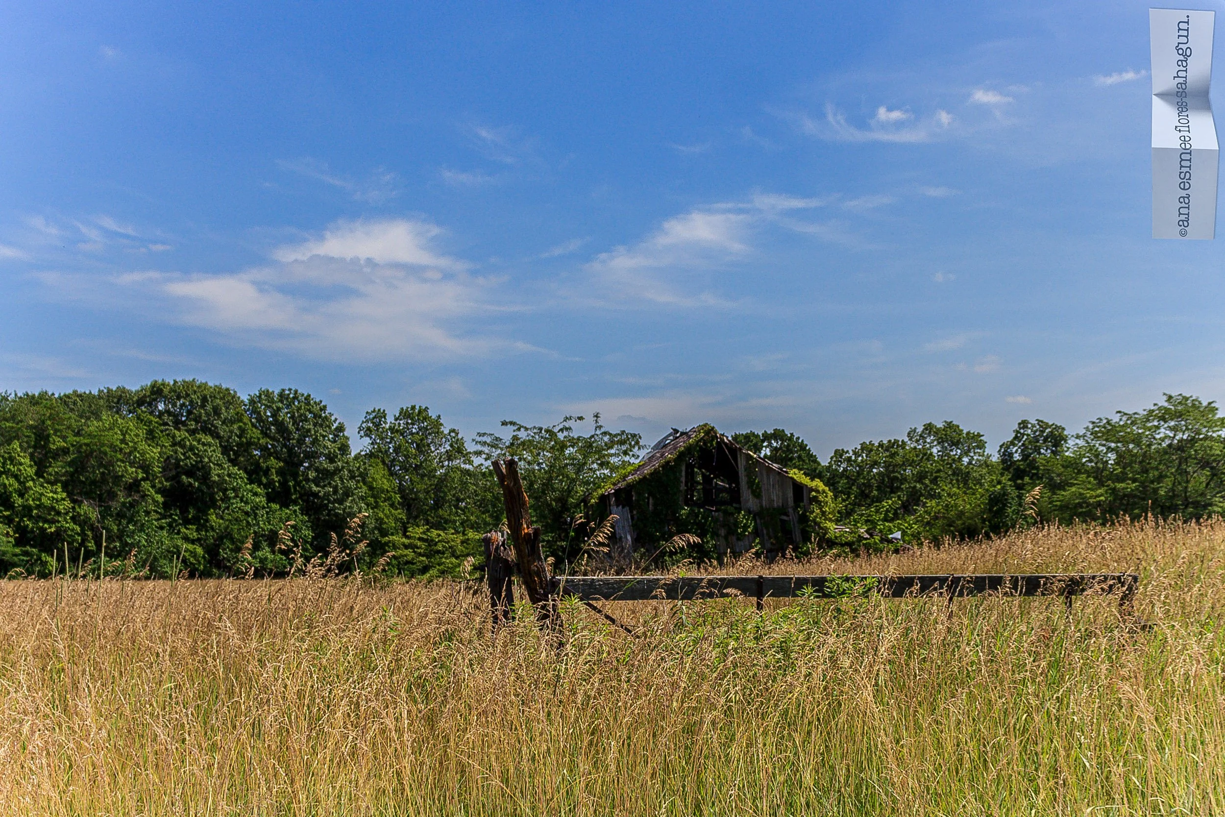 IMG_2498-2500px-2500px.jpg