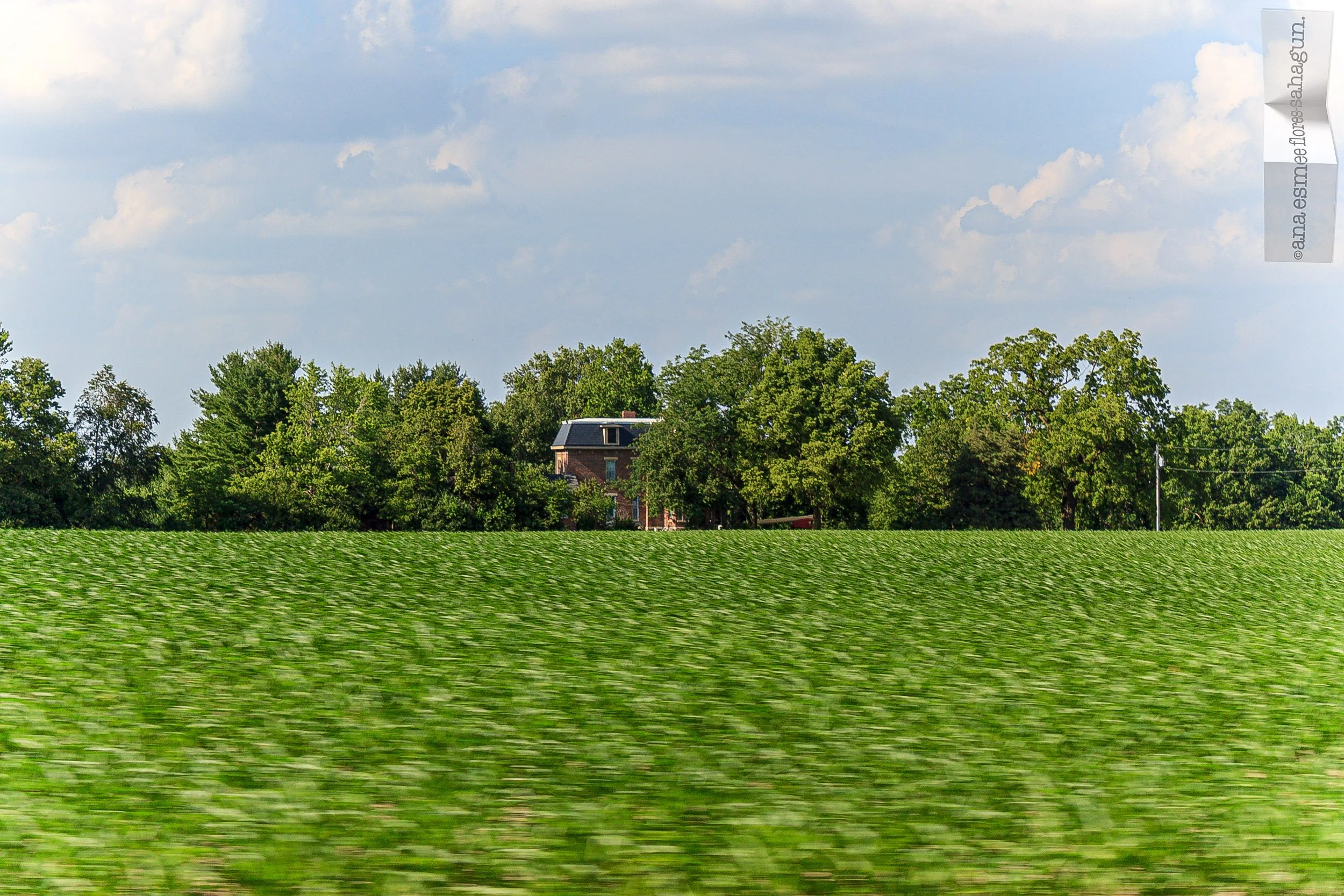 IMG_2834-2500px-2500px.jpg
