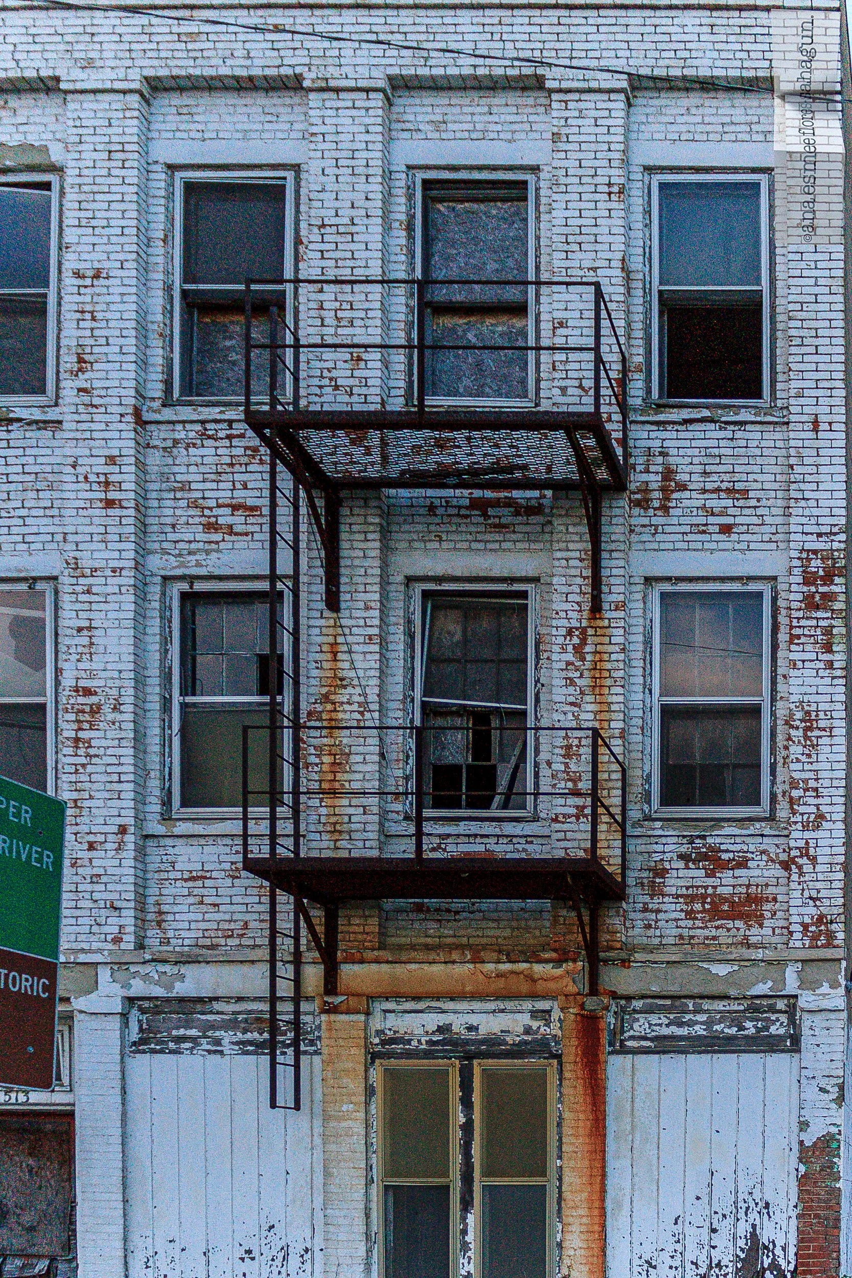IMG_3381-2500px-2500px.jpg