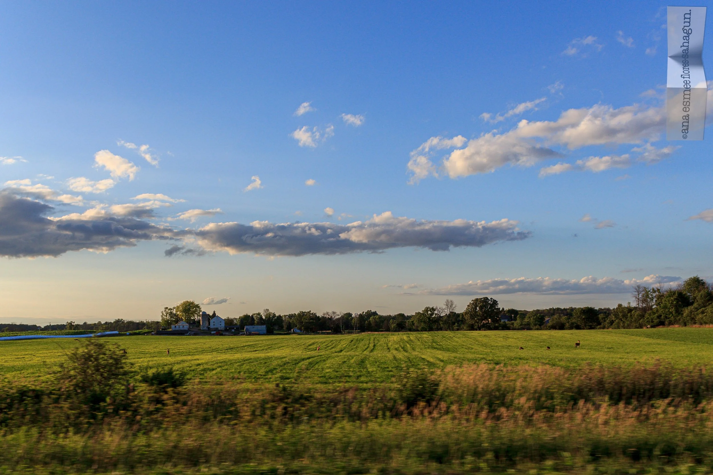IMG_4831-2500px-2500px.jpg
