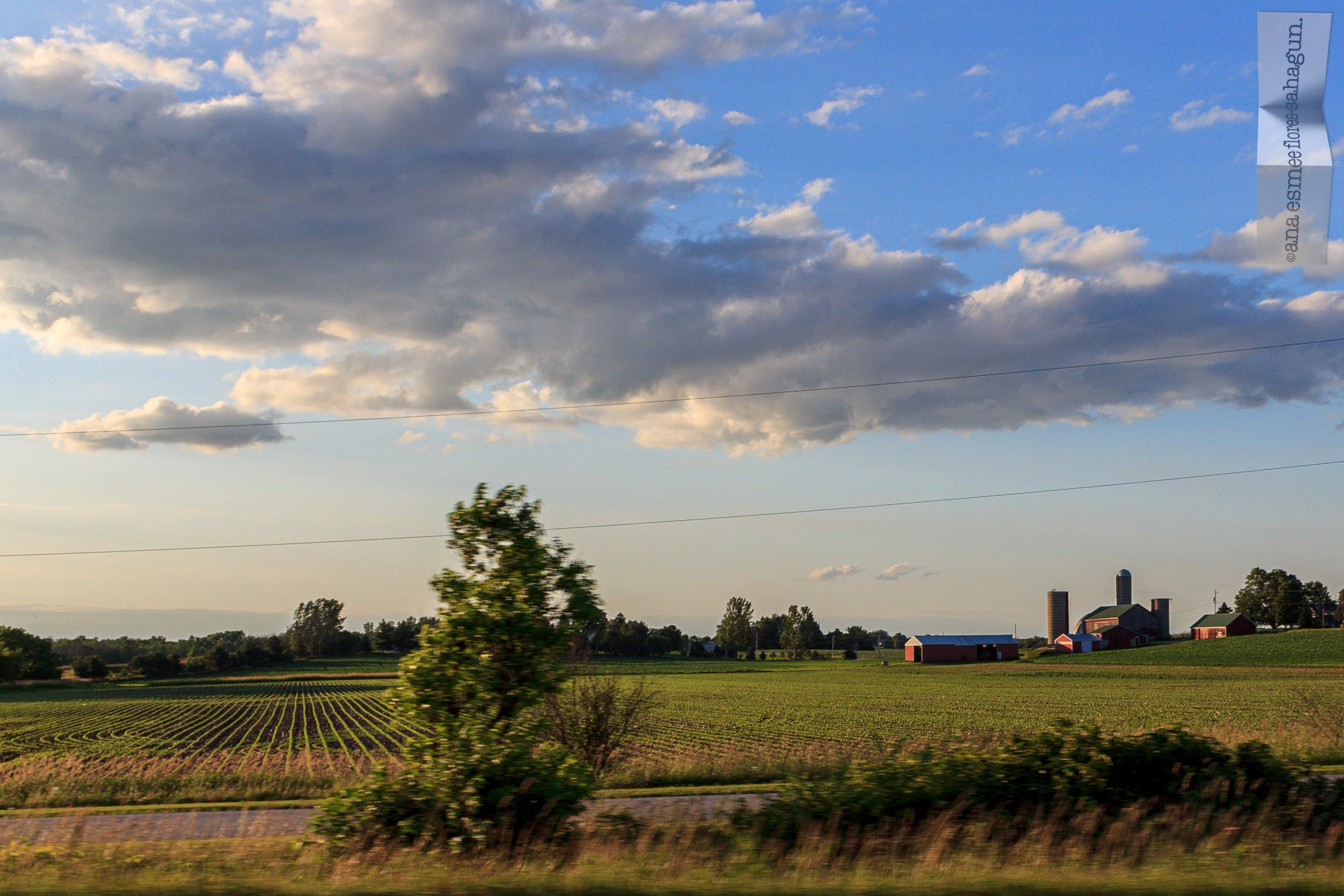 IMG_4844-2500px-2500px.jpg