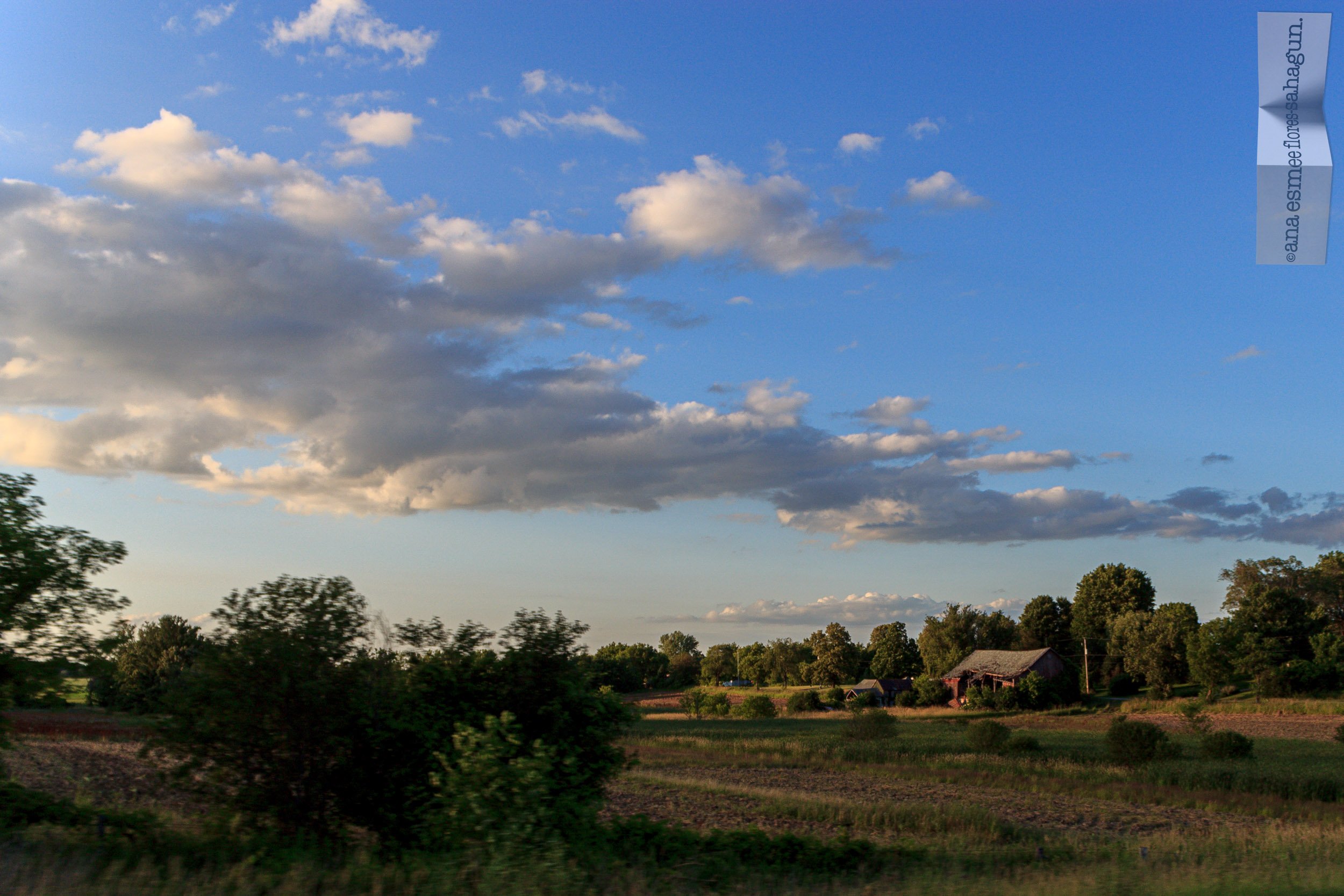 IMG_4862-2500px-2500px.jpg