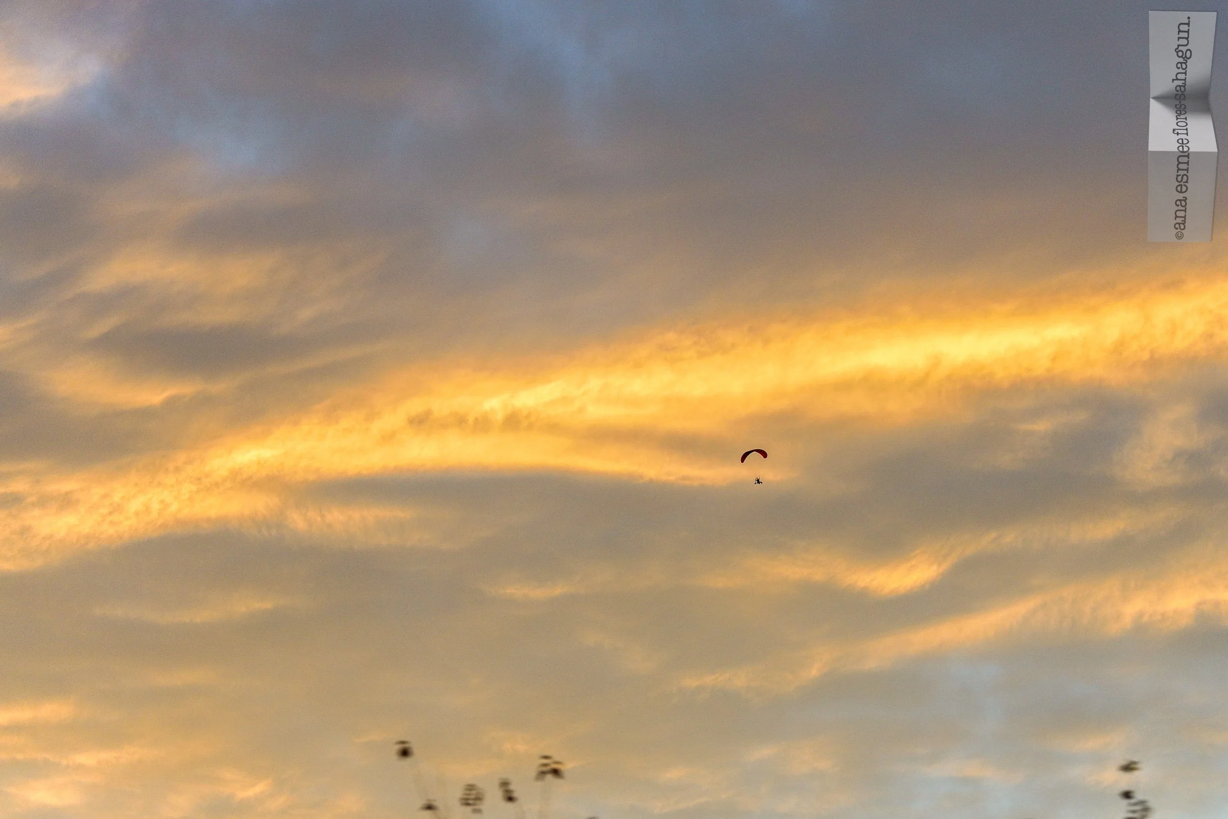 6X5A1598-2500px-2500px.jpg