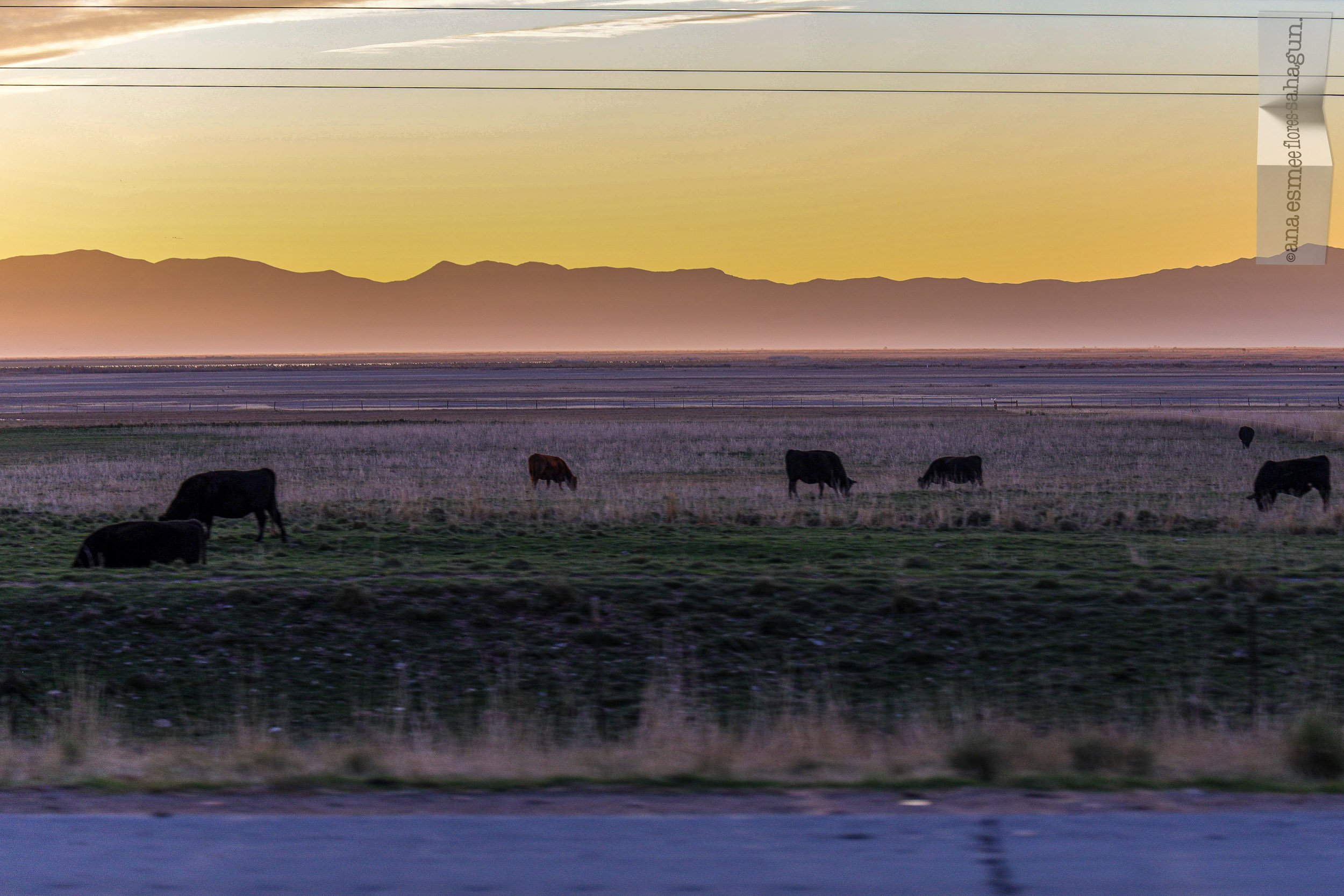 6X5A1546-2500px-2500px.jpg