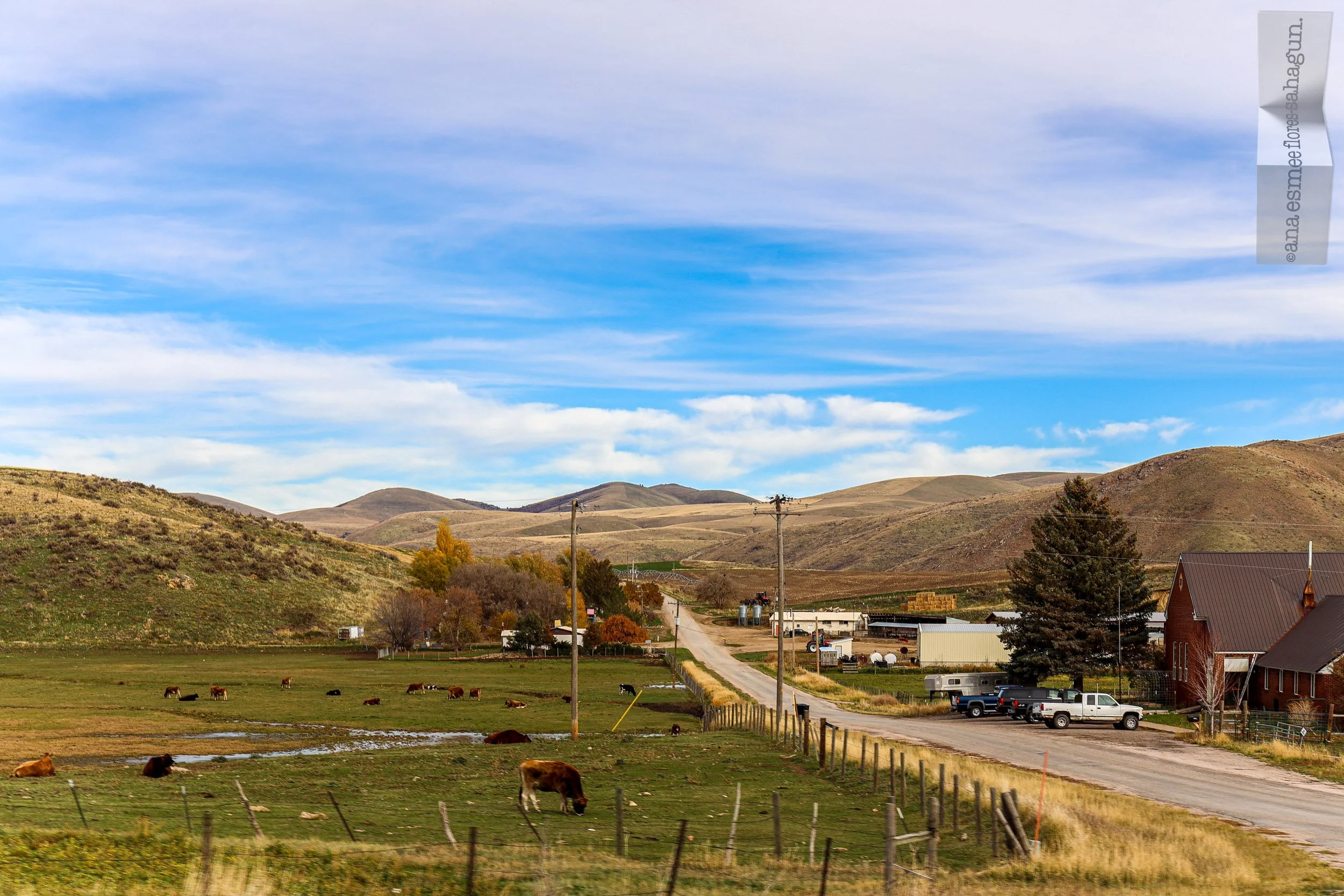 6X5A0826-2500px-2500px.jpg