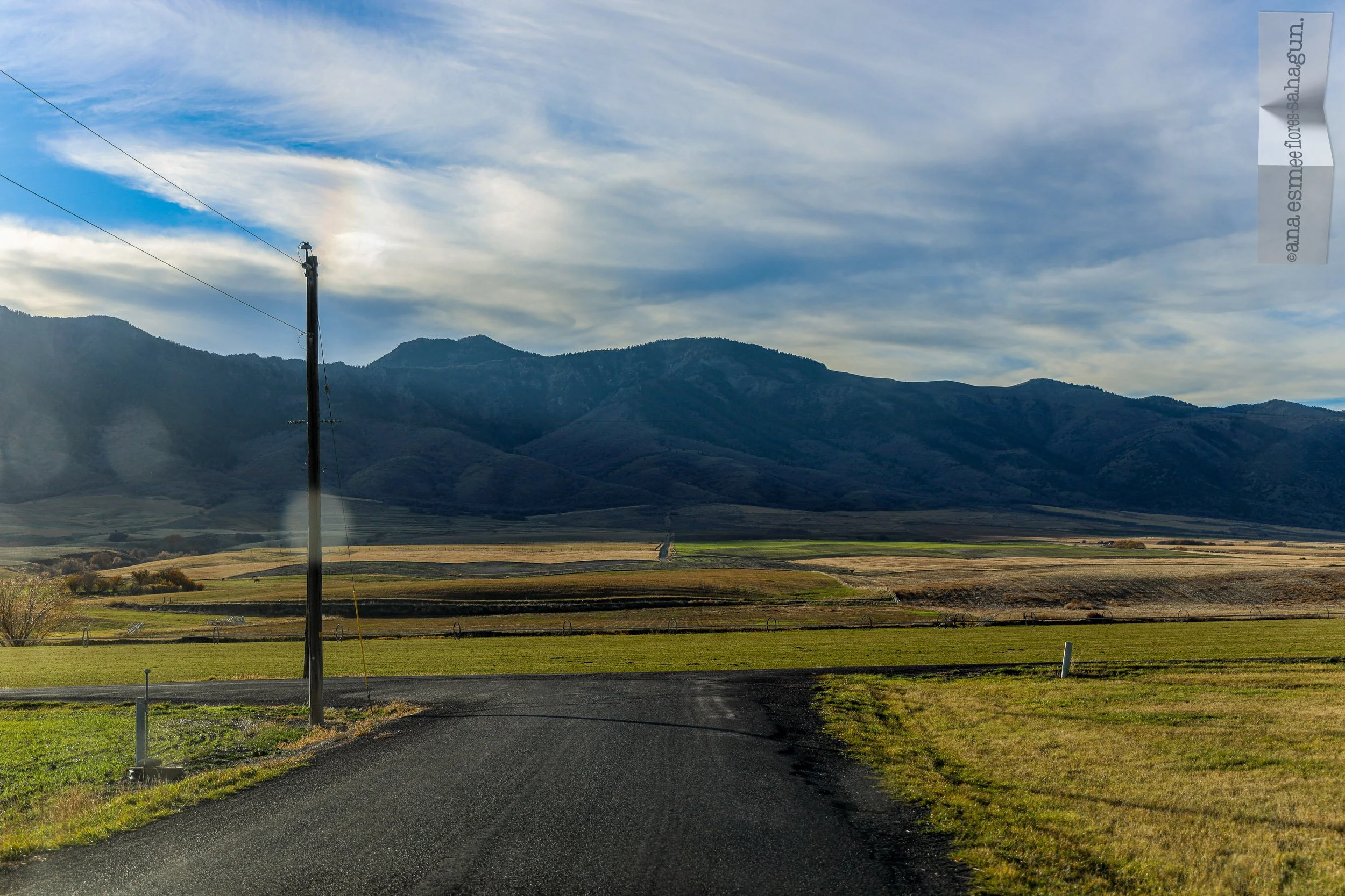 6X5A1290-2500px-2500px.jpg