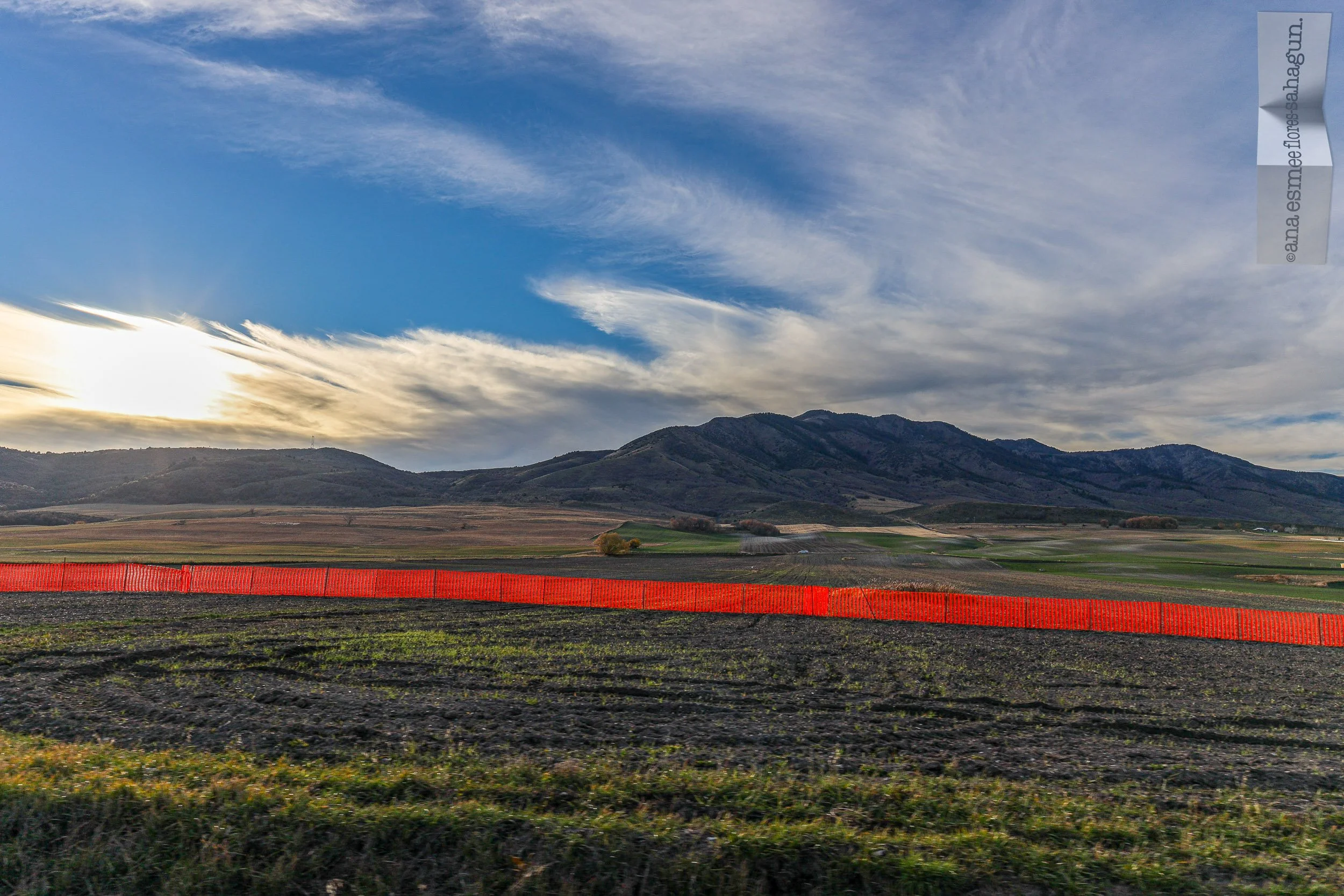 6X5A1294-2500px-2500px.jpg