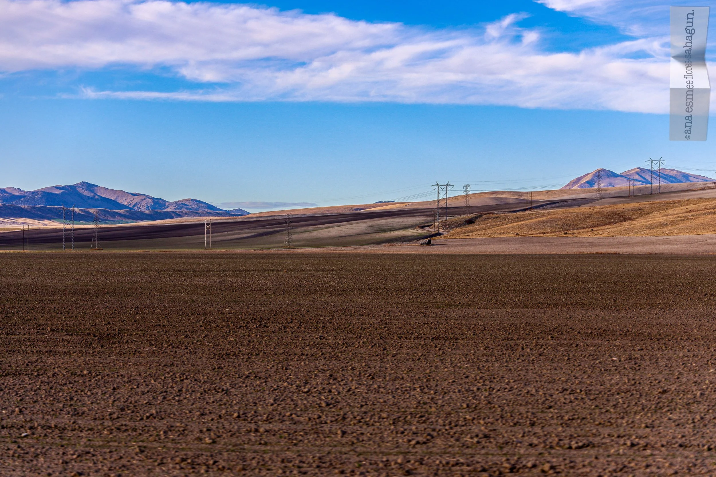 6X5A1187-2500px-2500px.jpg