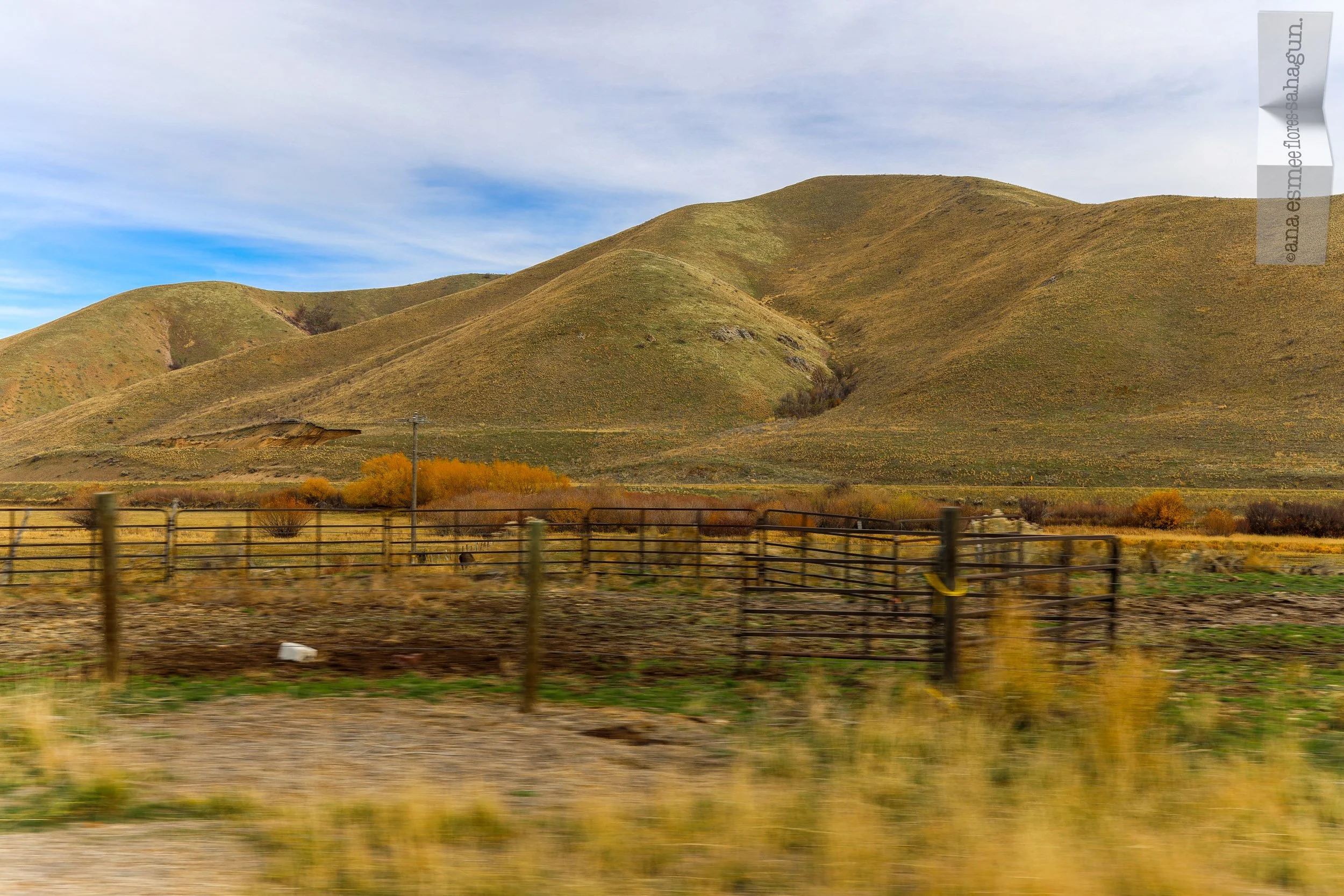 6X5A0807-2500px-2500px.jpg