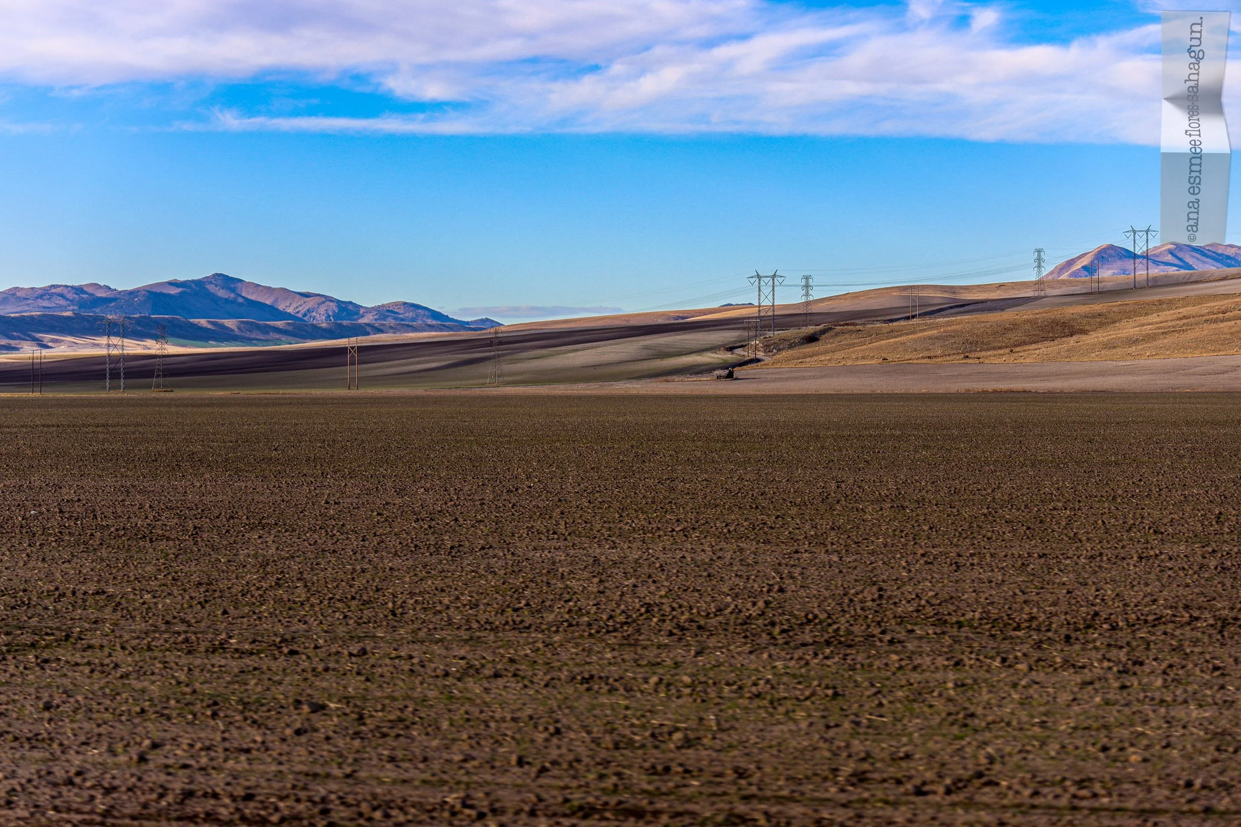 6X5A1186-2500px-2500px.jpg