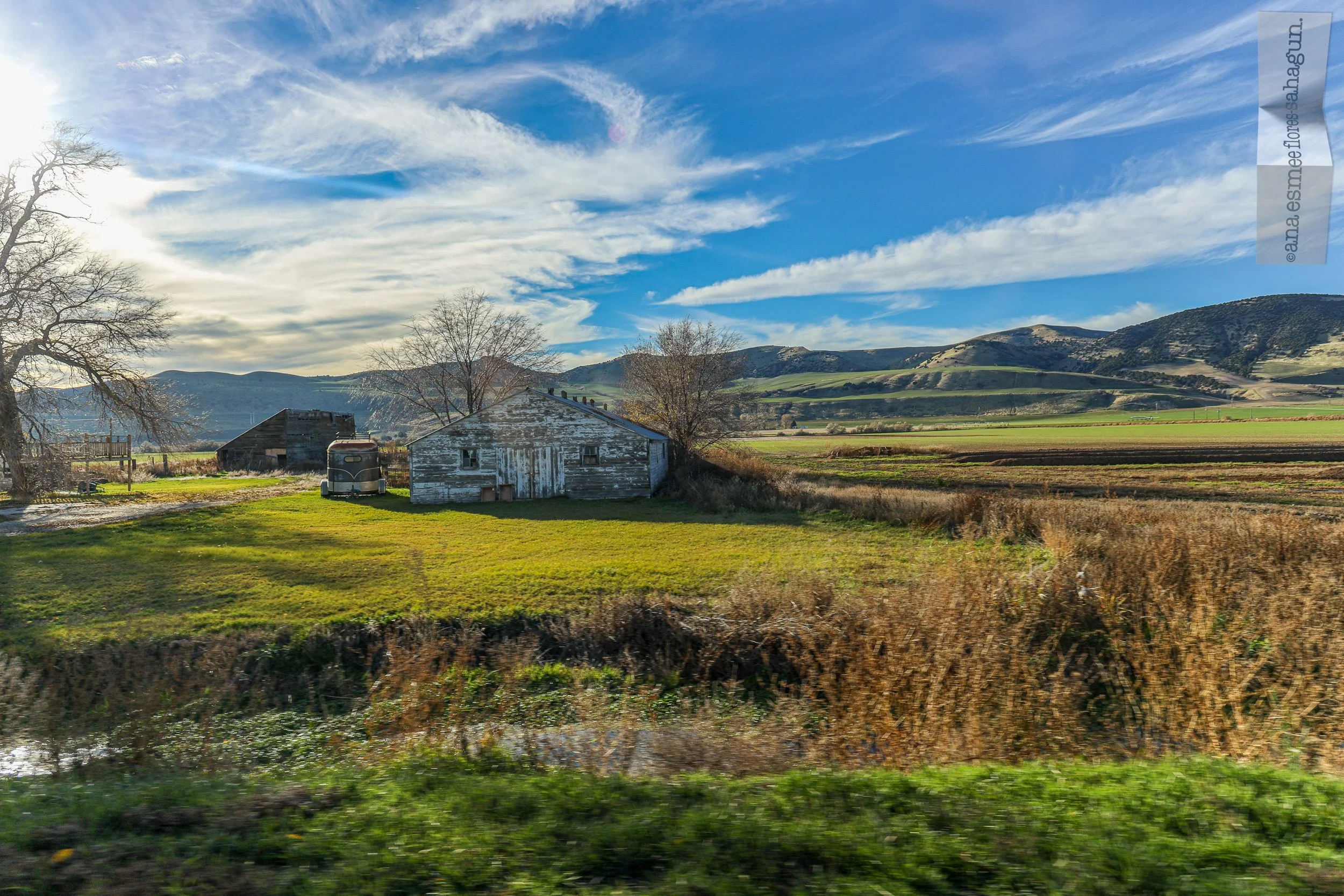 6X5A1140-2500px-2500px.jpg