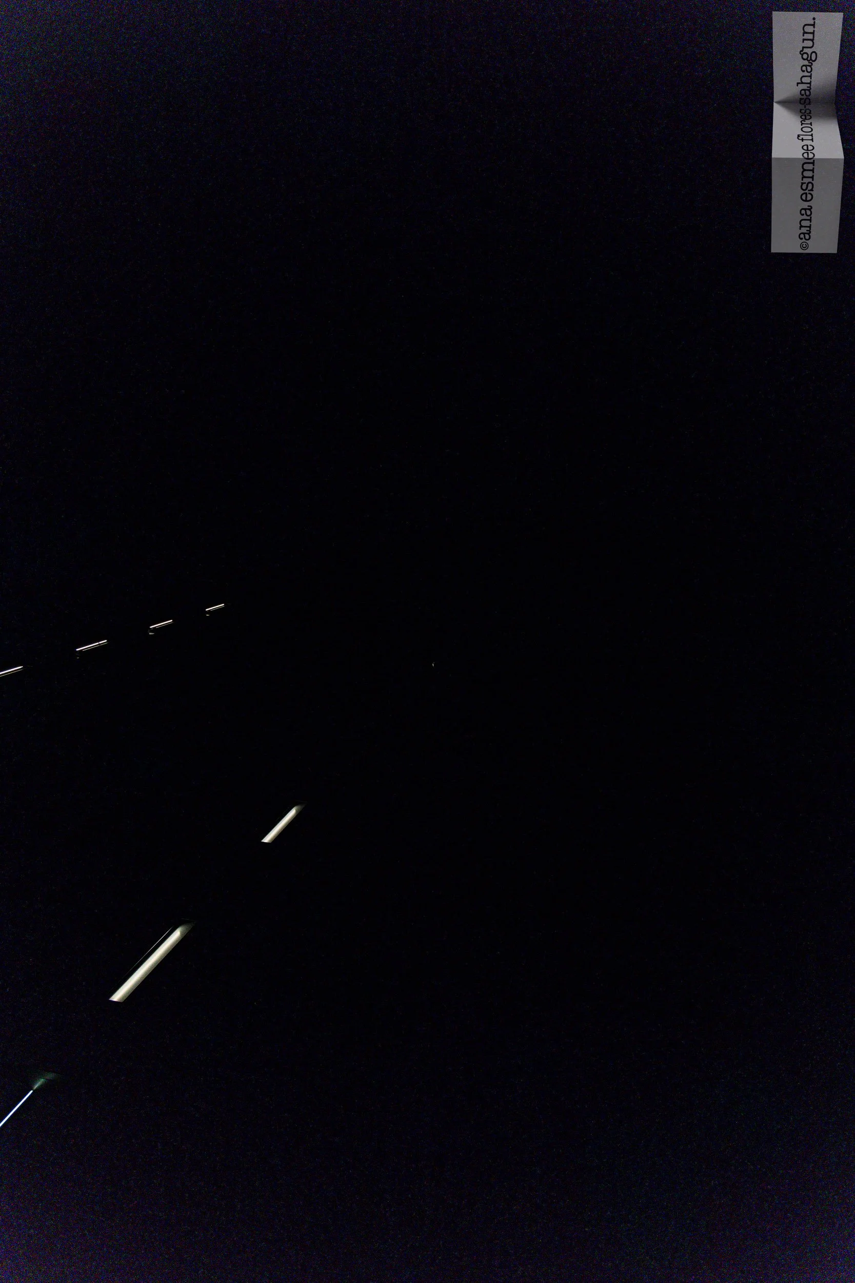 6X5A4495-2500px-2500px-2500px.jpg