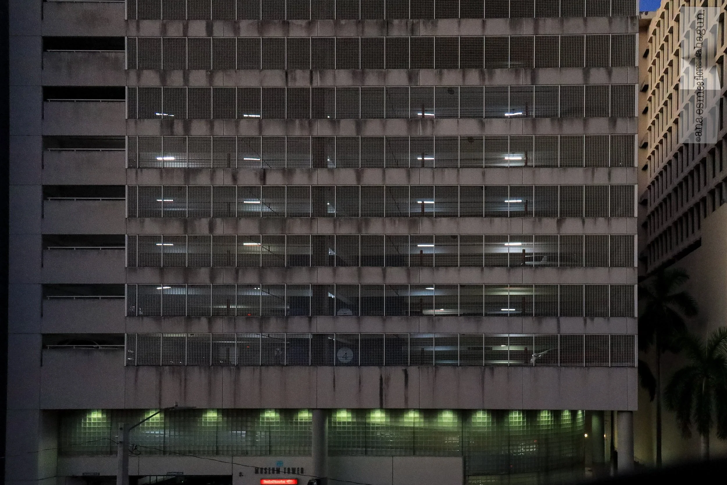 6X5A5614-2500px-2500px-2500px.jpg