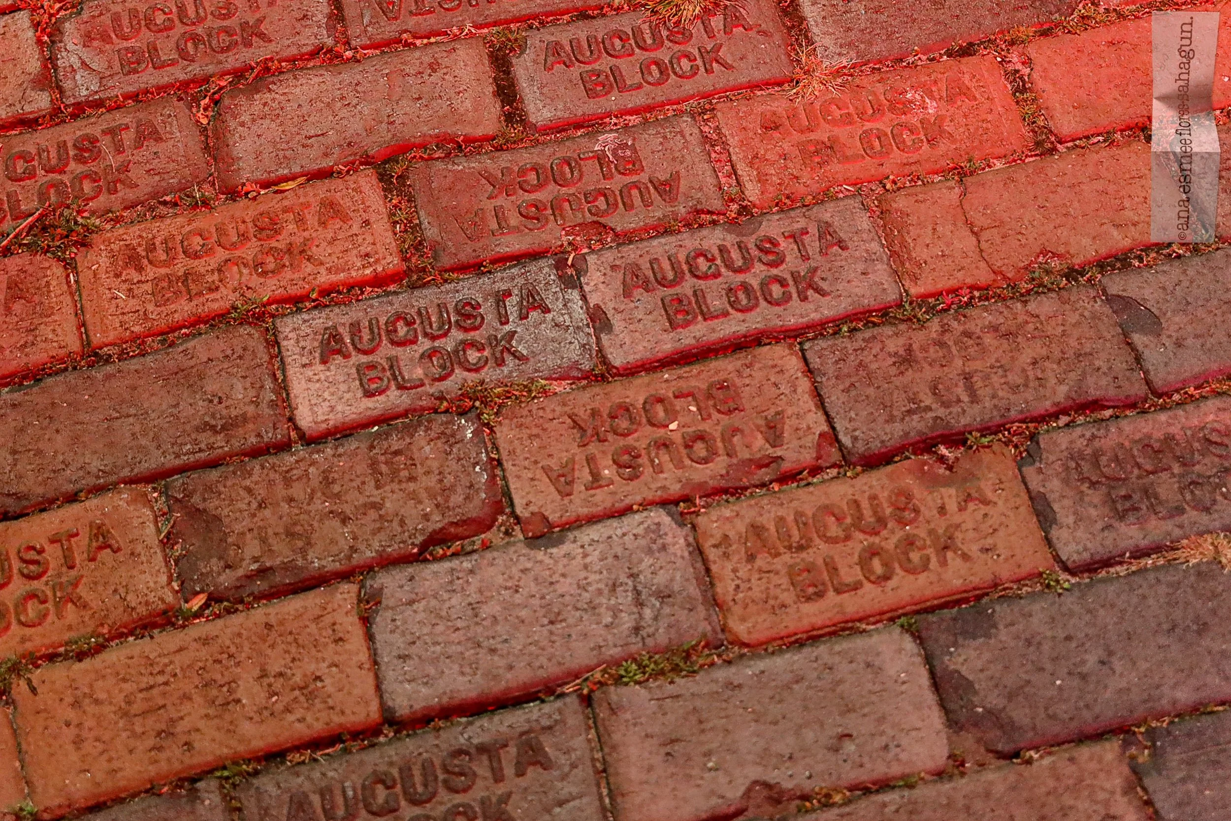 6X5A8621 (2)-2500px-2500px-2500px.jpg