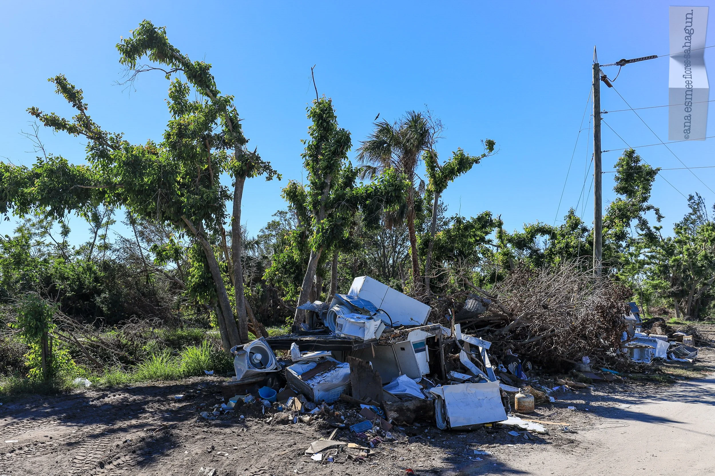 6X5A7598-2500px-2500px-2500px.jpg