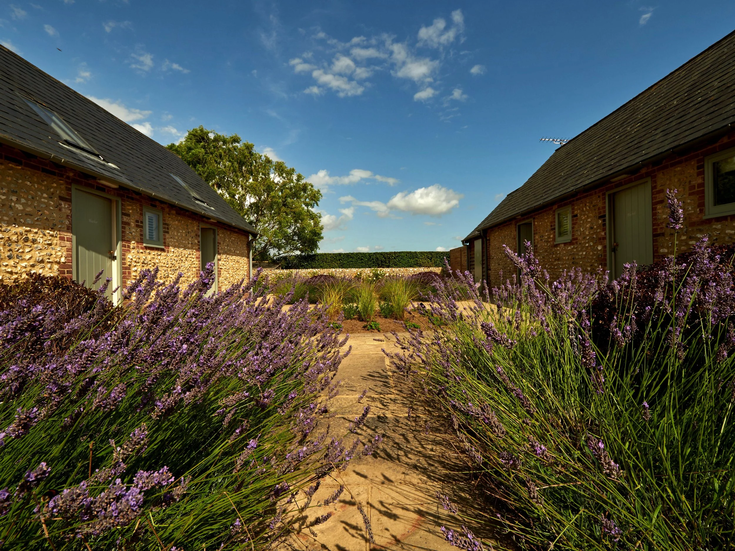 Gallery — White Horse Graffham