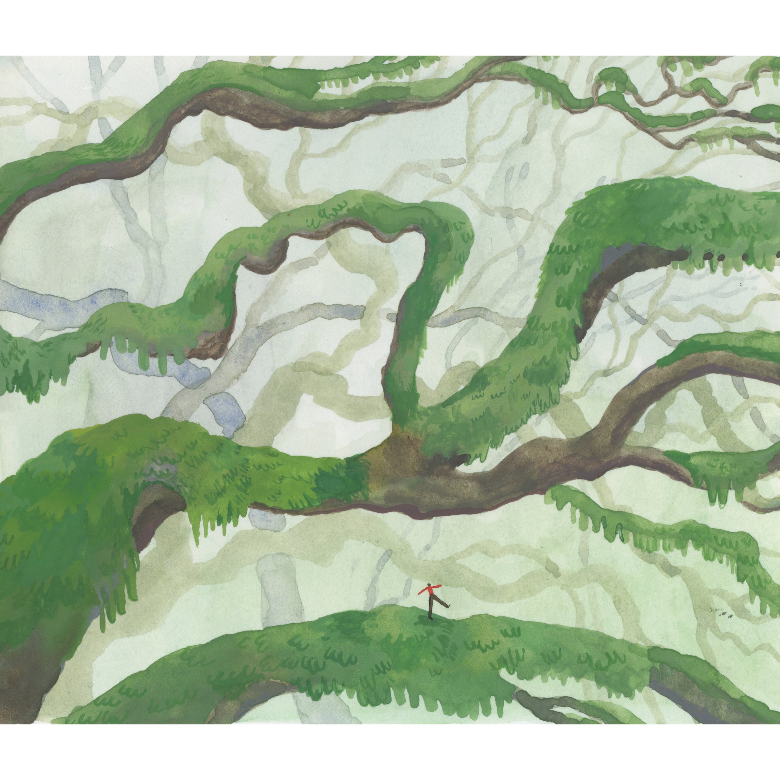 Branch Walker Print
