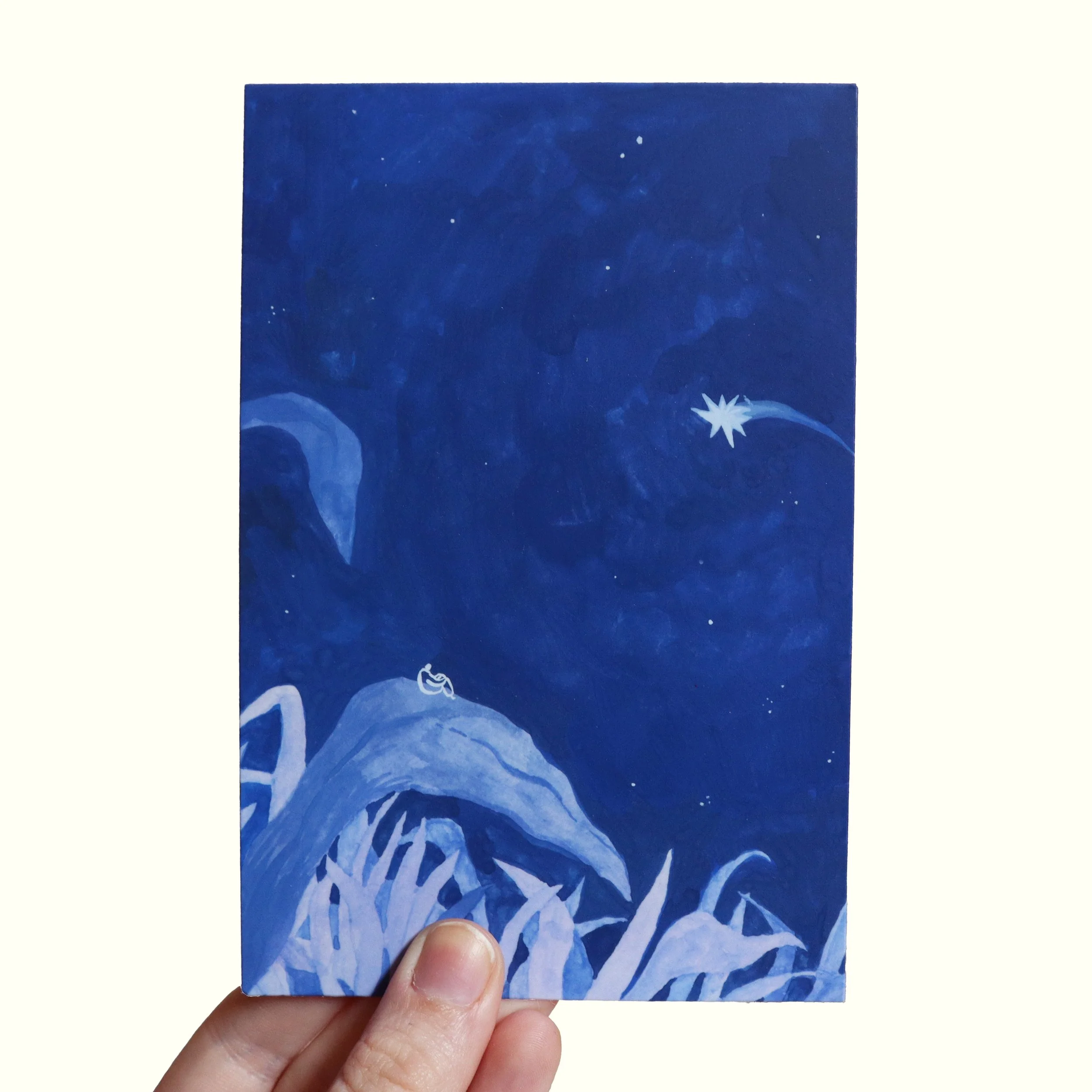 star gazer postcard.jpg