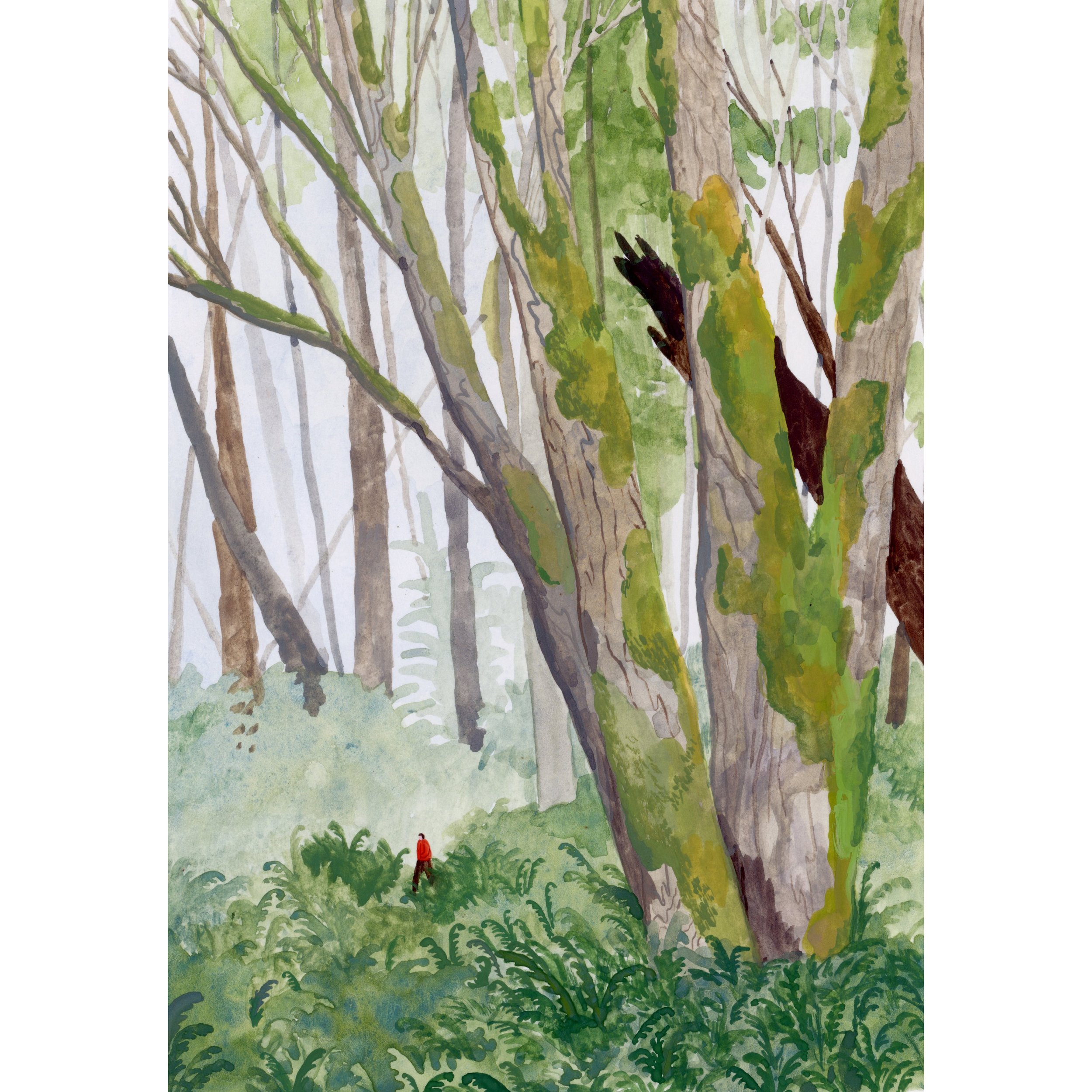 100 Acre Wood