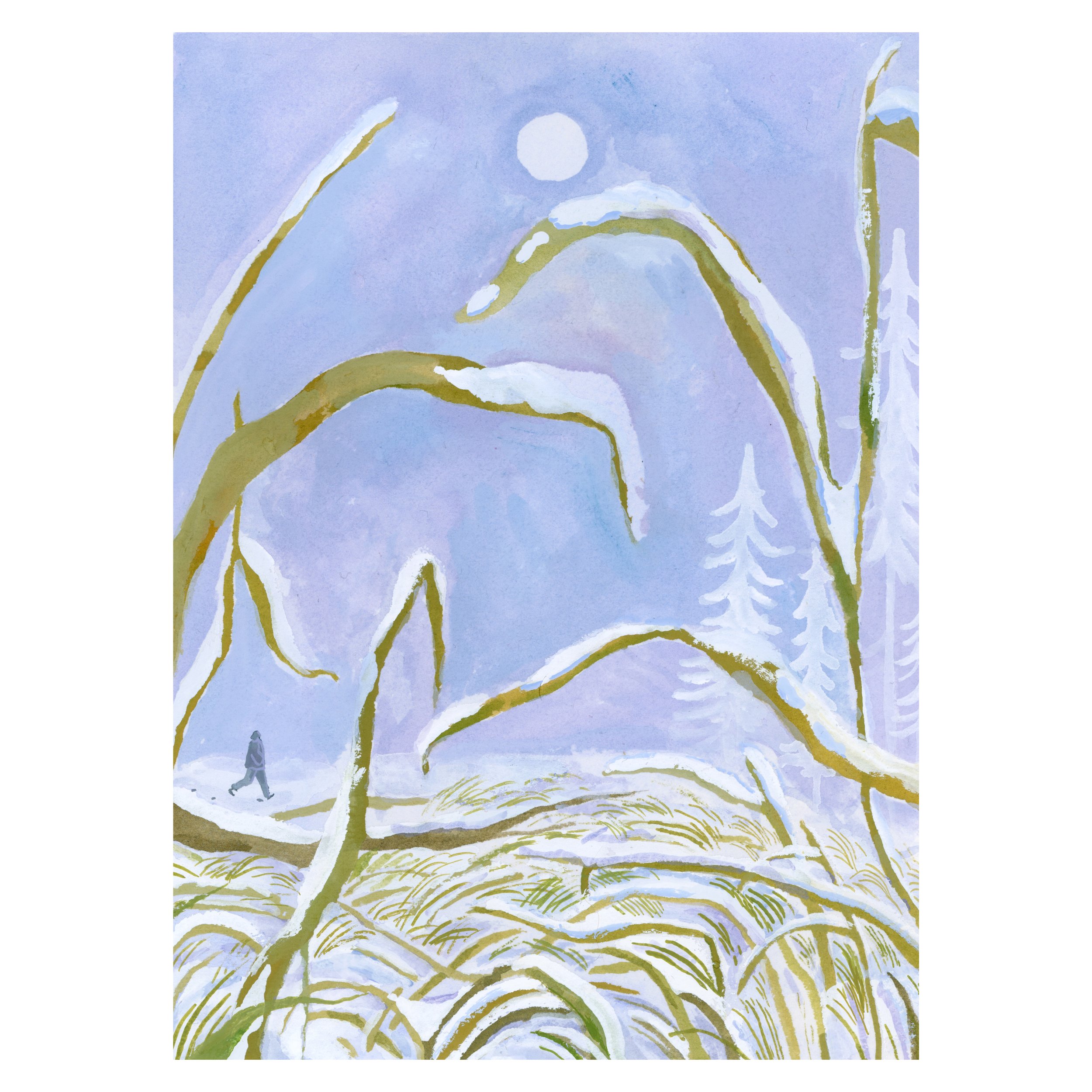 snowy grass cropped white.jpg