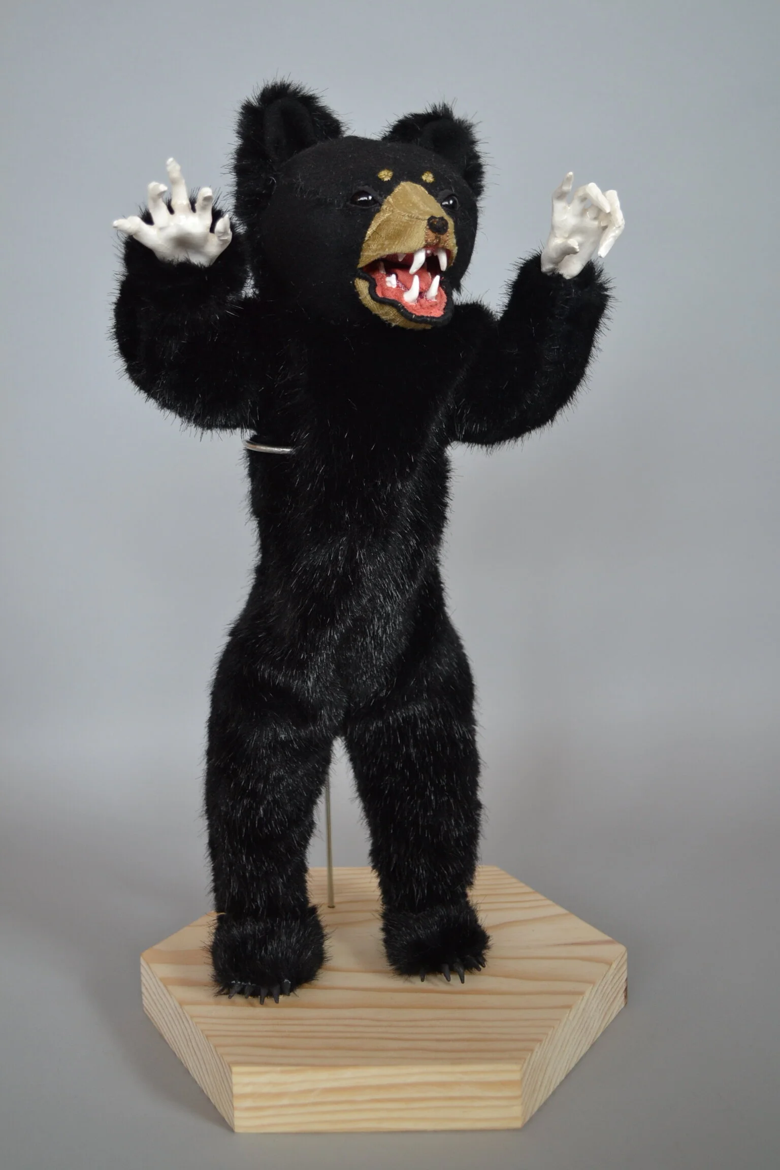 bear 4.JPG