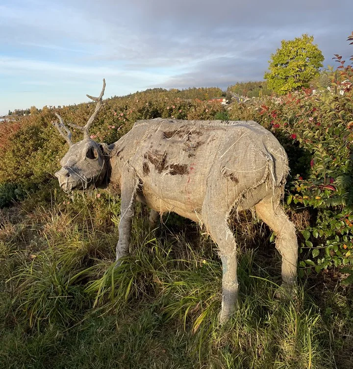 Mother October 2022.JPG