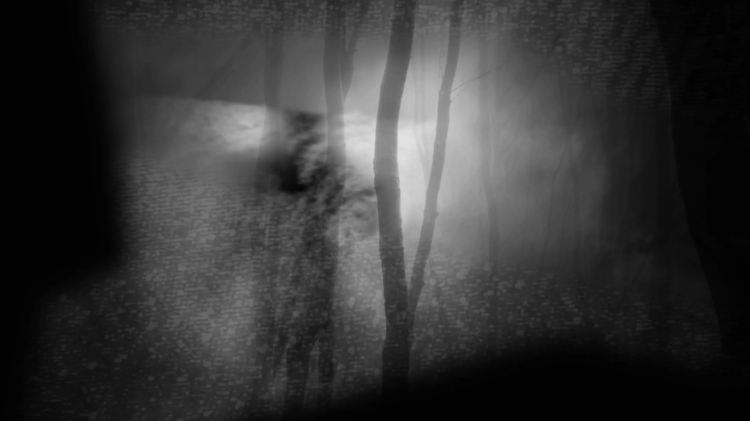 Comp 1 (0;00;43;22).jpg
