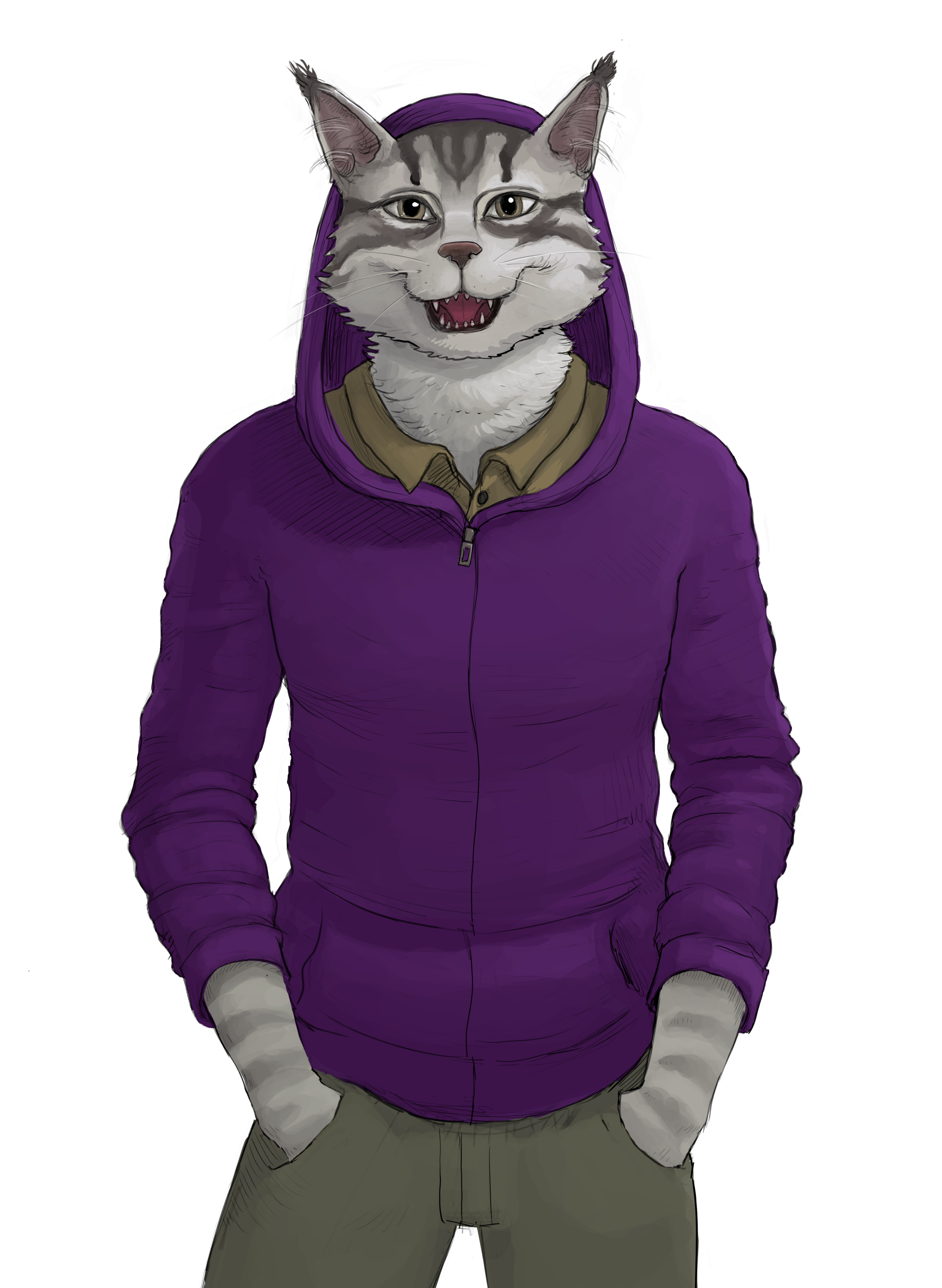 Damien_Maine_Coon.png