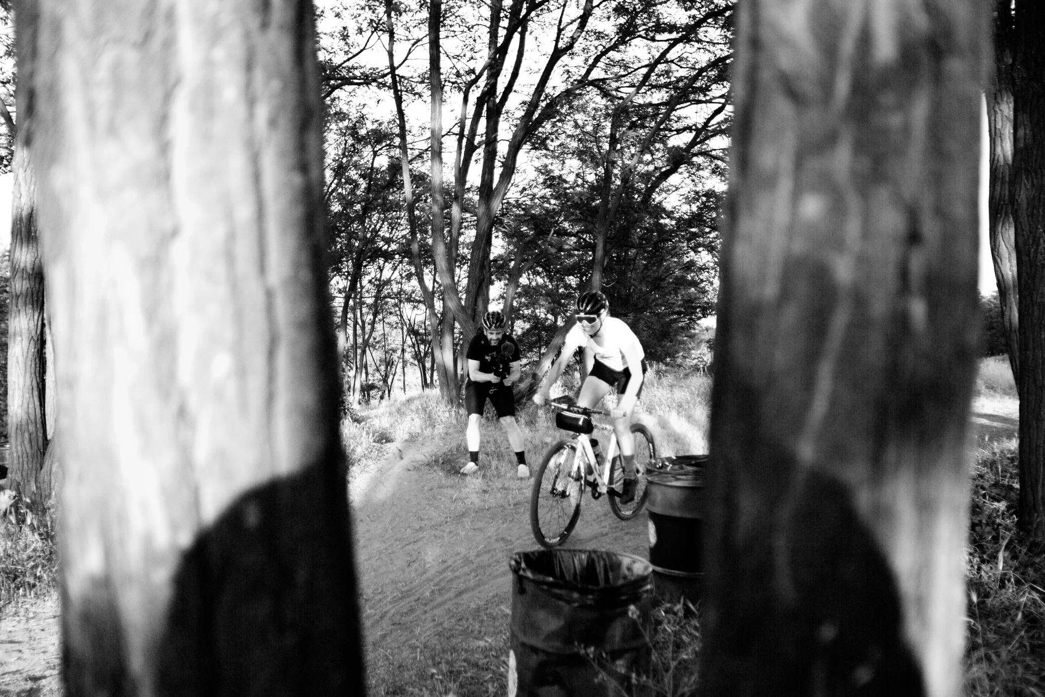 shred 19.jpg