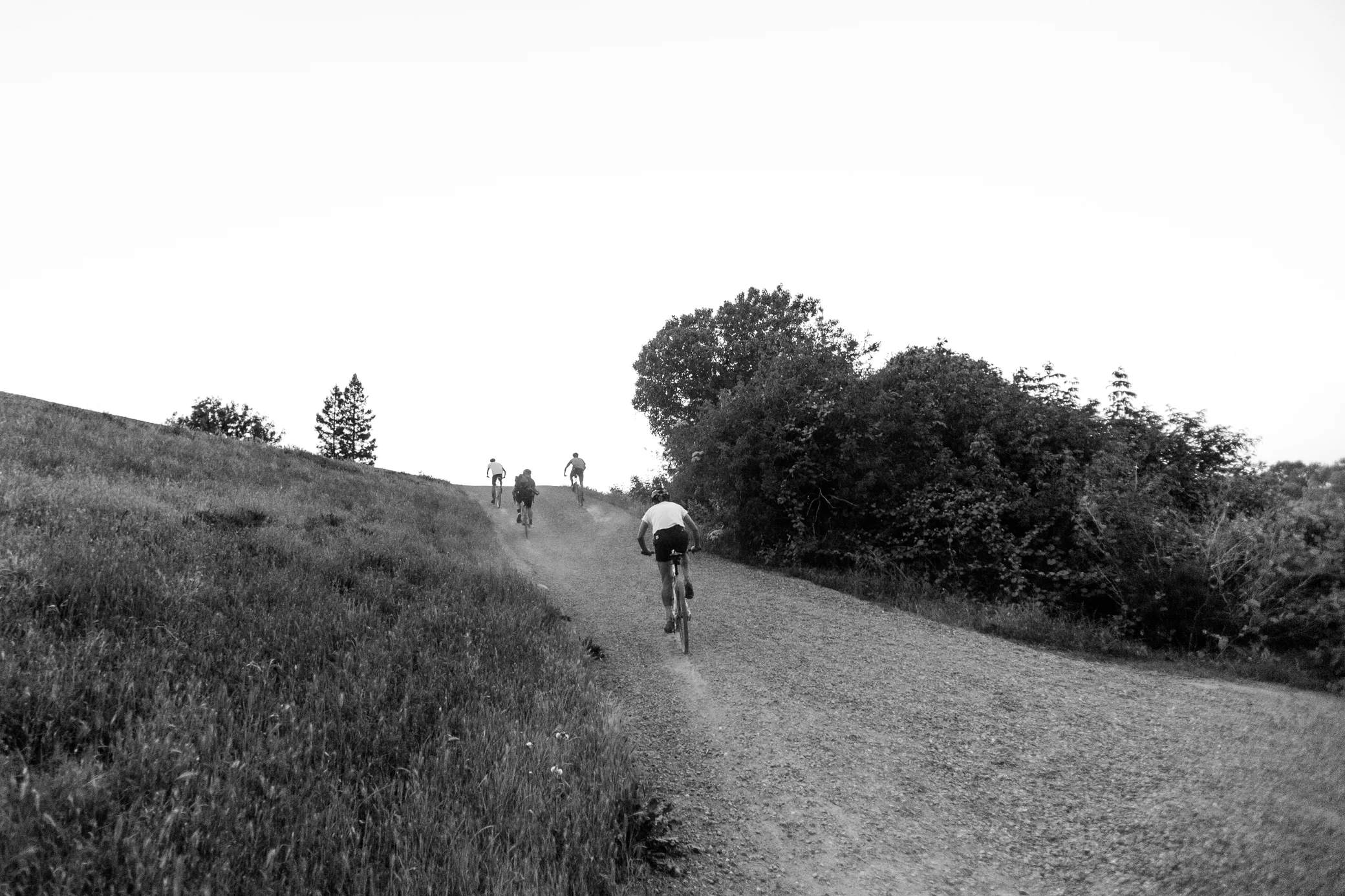 shred 26.jpg