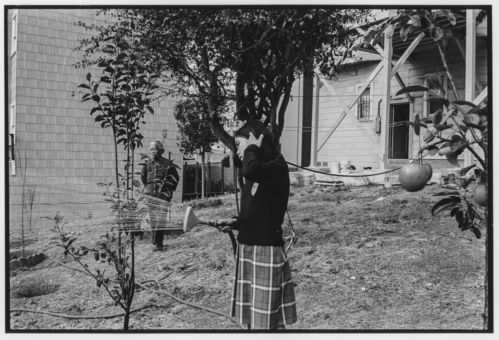 10_Lisa_McCord_Garden.jpg